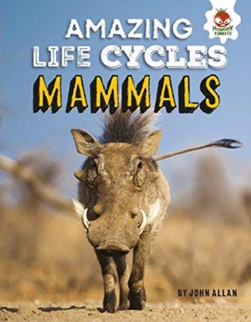 Vorderes Coverbild Amazing Life Cycles- Mammals