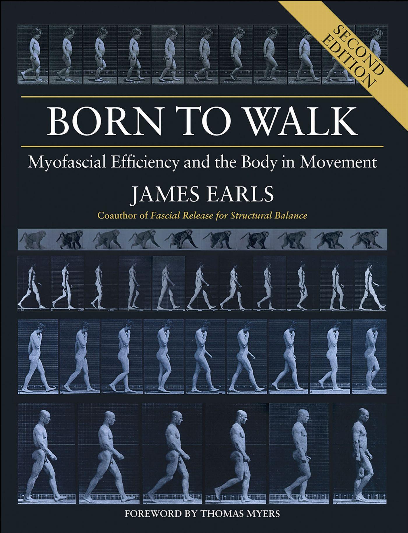 Vorderes Coverbild Born to Walk