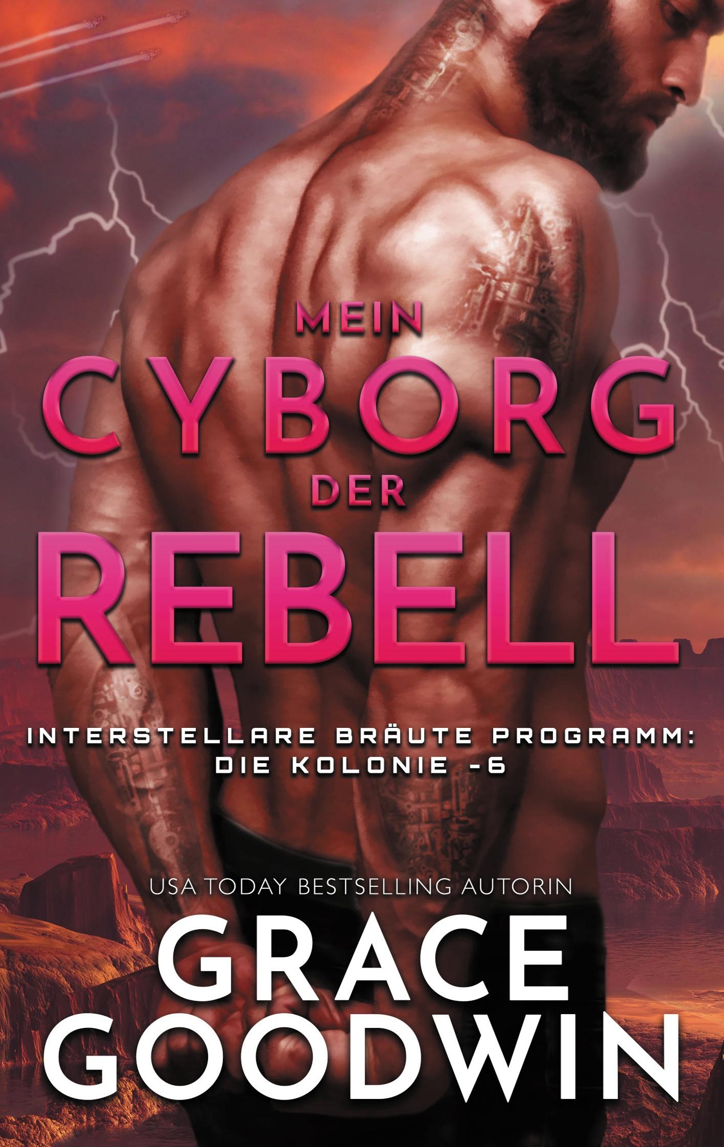 Vorderes Coverbild Mein Cyborg, der Rebell