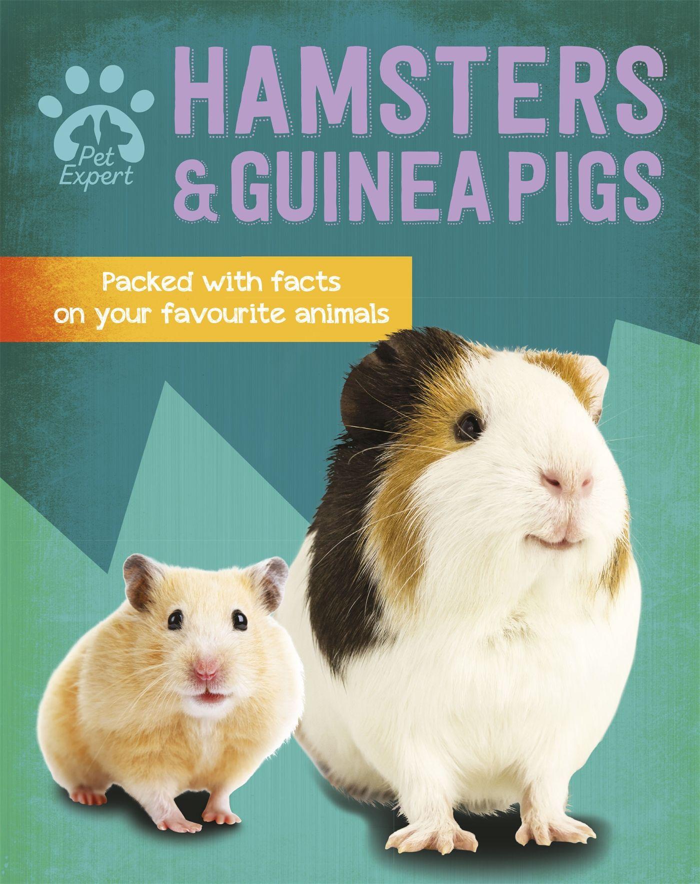 Vorderes Coverbild Pet Expert: Hamsters and Guinea Pigs