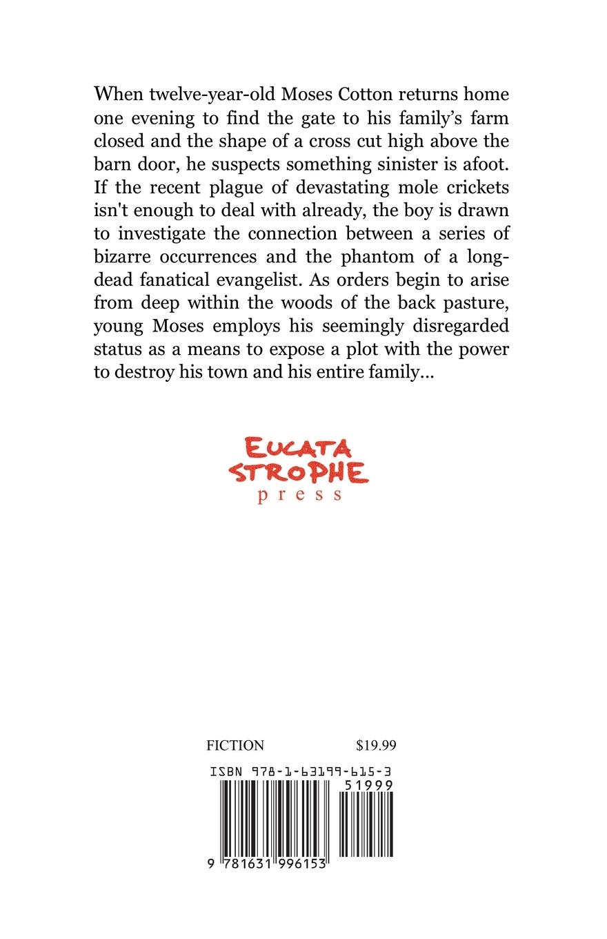 Rückseitencover Molecricket