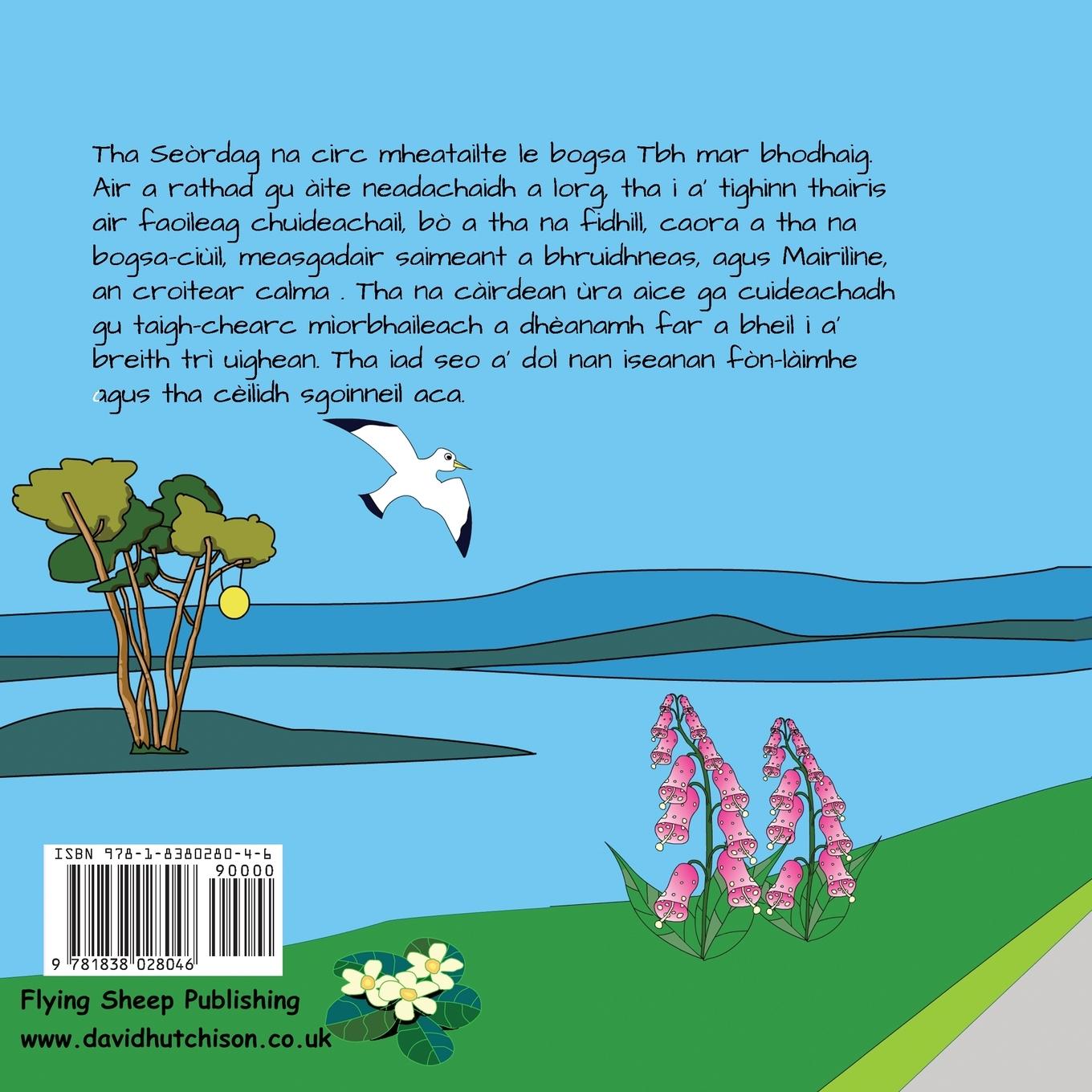 Rückseitencover Càit An Dèan Mi Mo Nead?