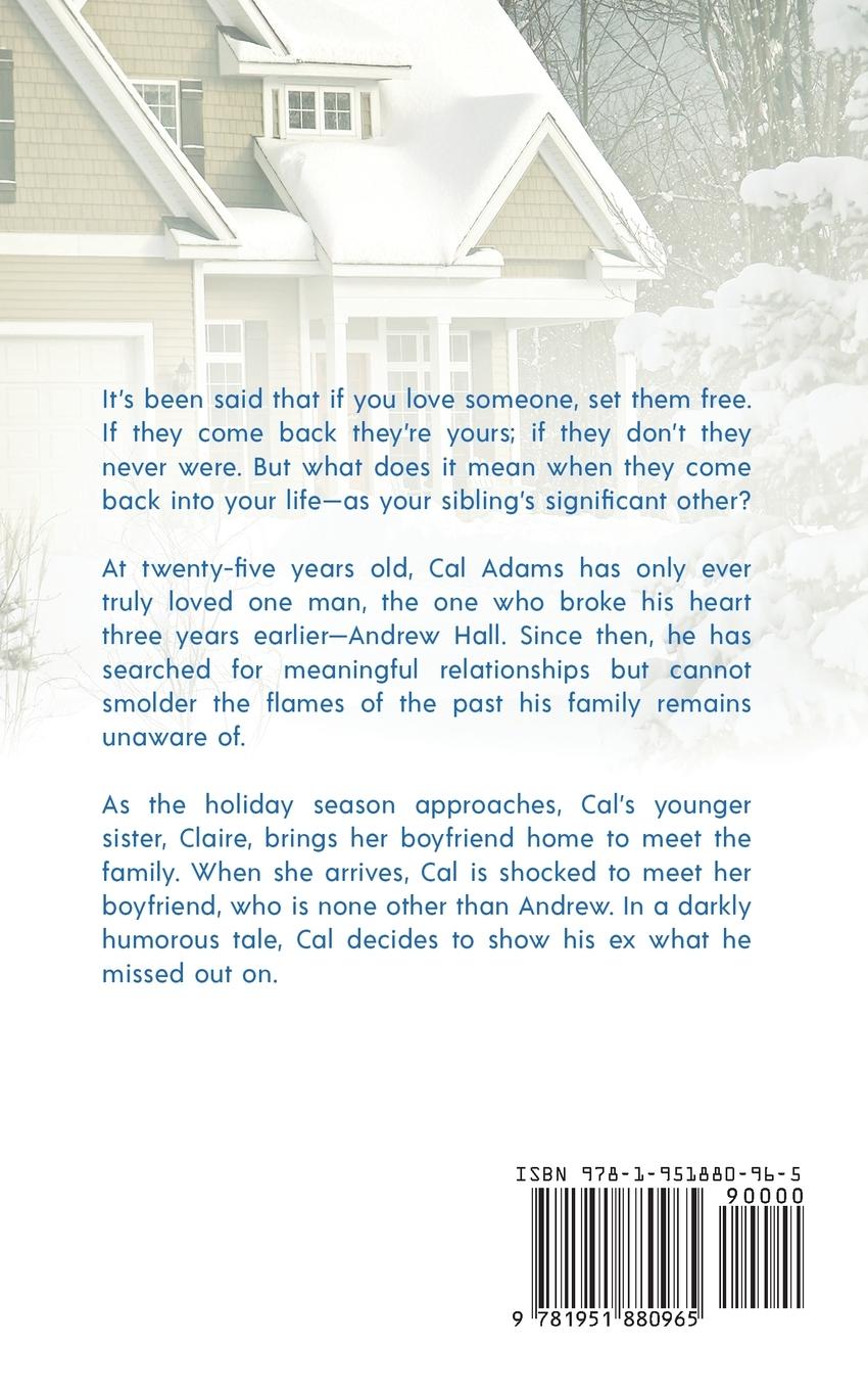 Rückseitencover A Family Affair