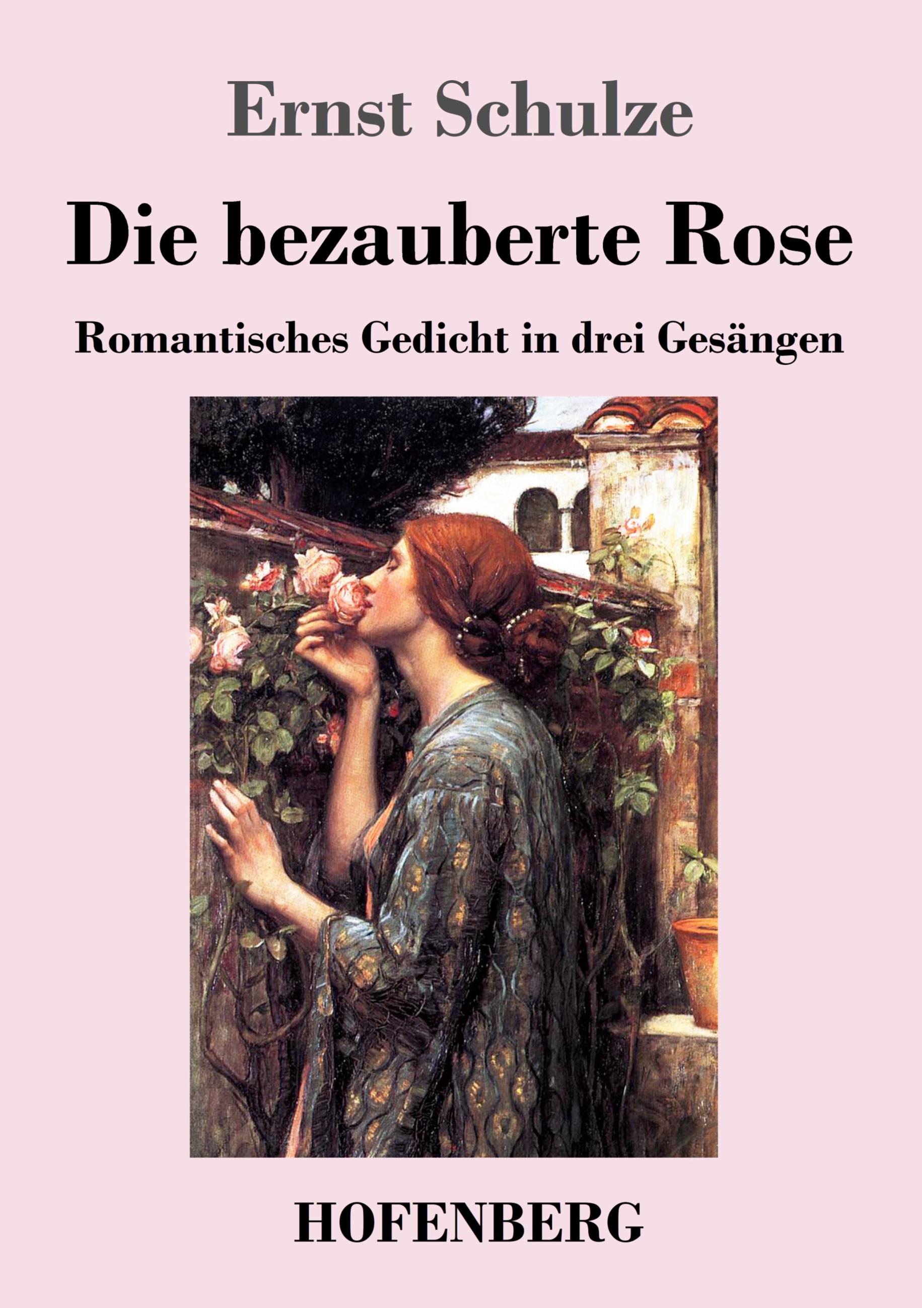 Vorderes Coverbild Die bezauberte Rose