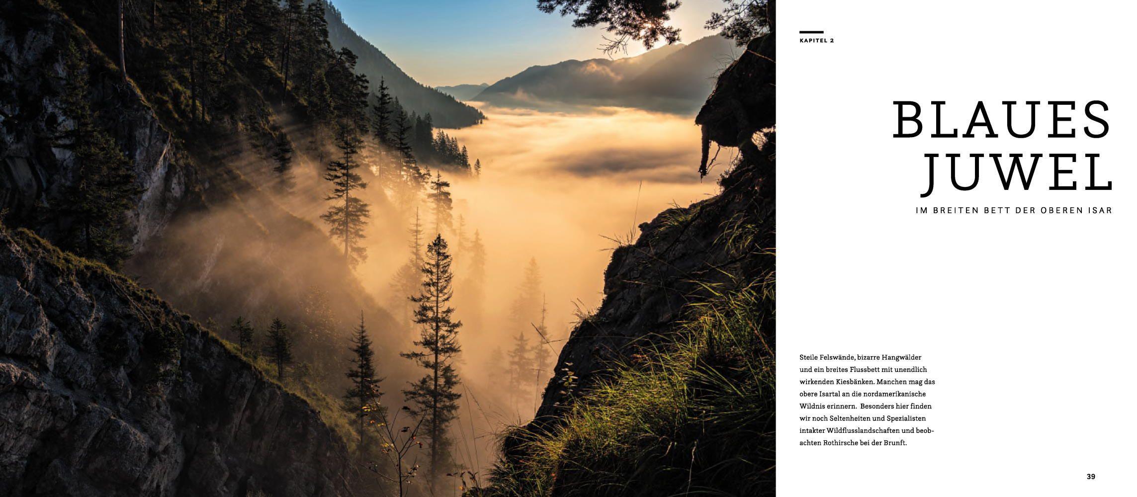 Beispielinhalt (Bild) Wilde Isar