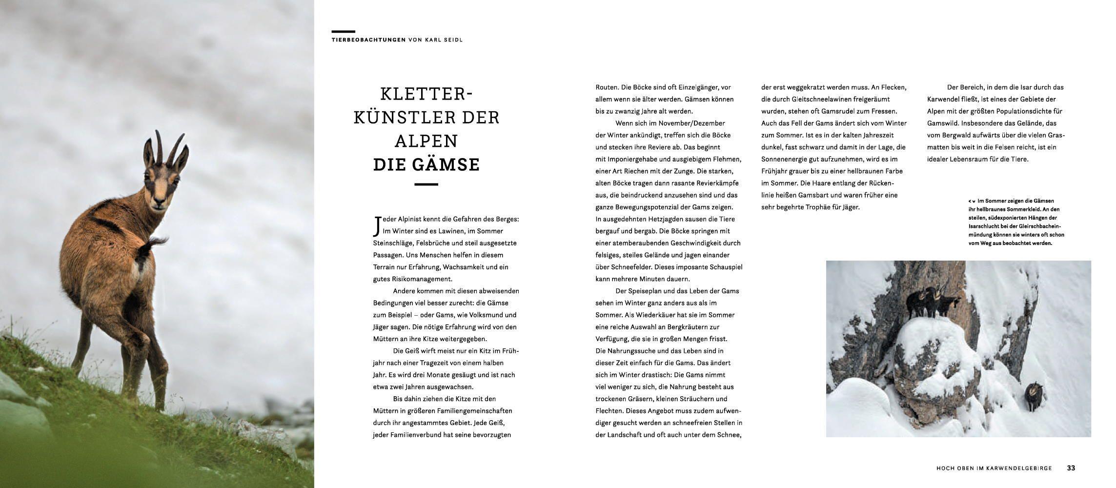 Beispielinhalt (Bild) Wilde Isar