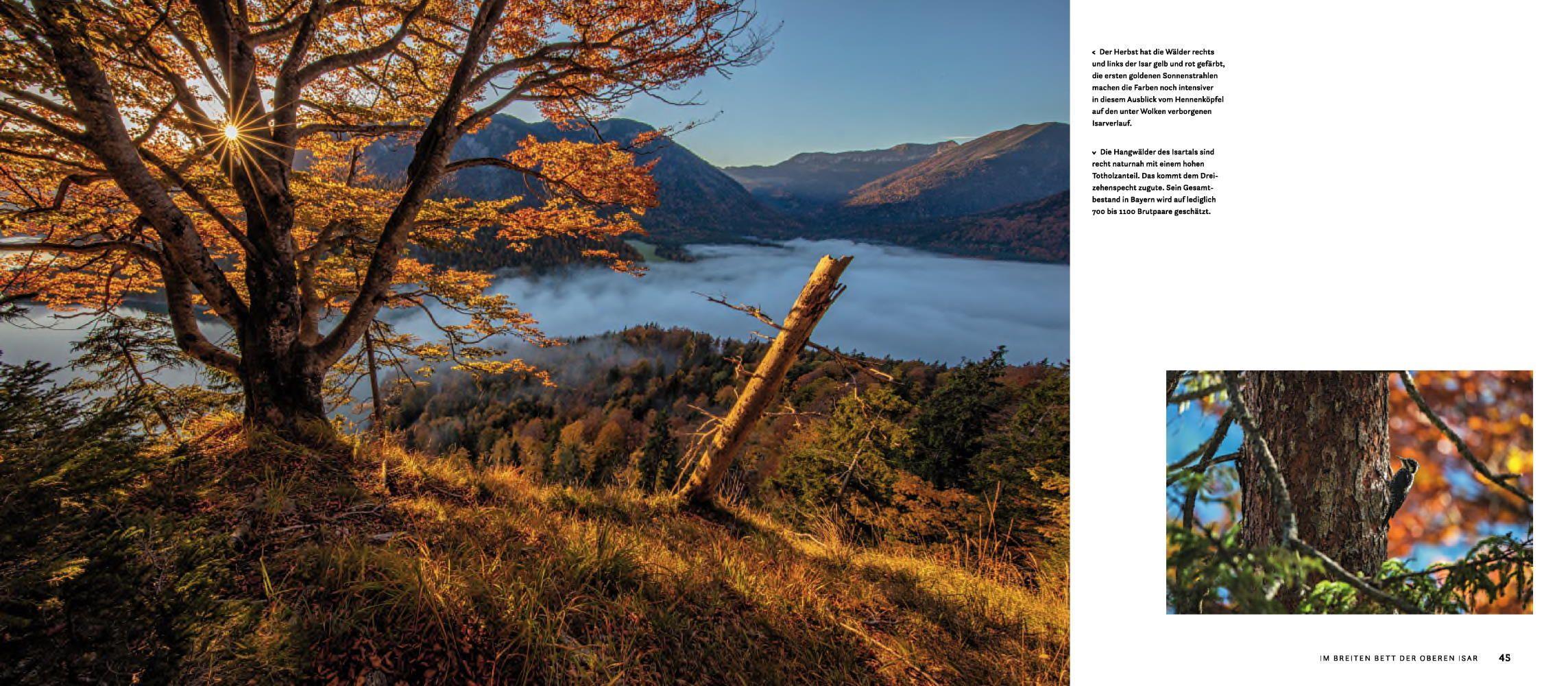 Beispielinhalt (Bild) Wilde Isar