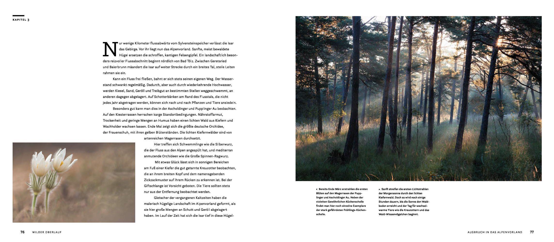 Beispielinhalt (Bild) Wilde Isar