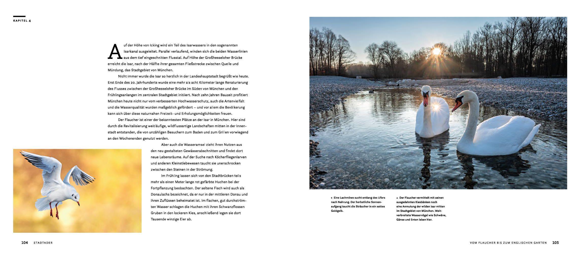 Beispielinhalt (Bild) Wilde Isar