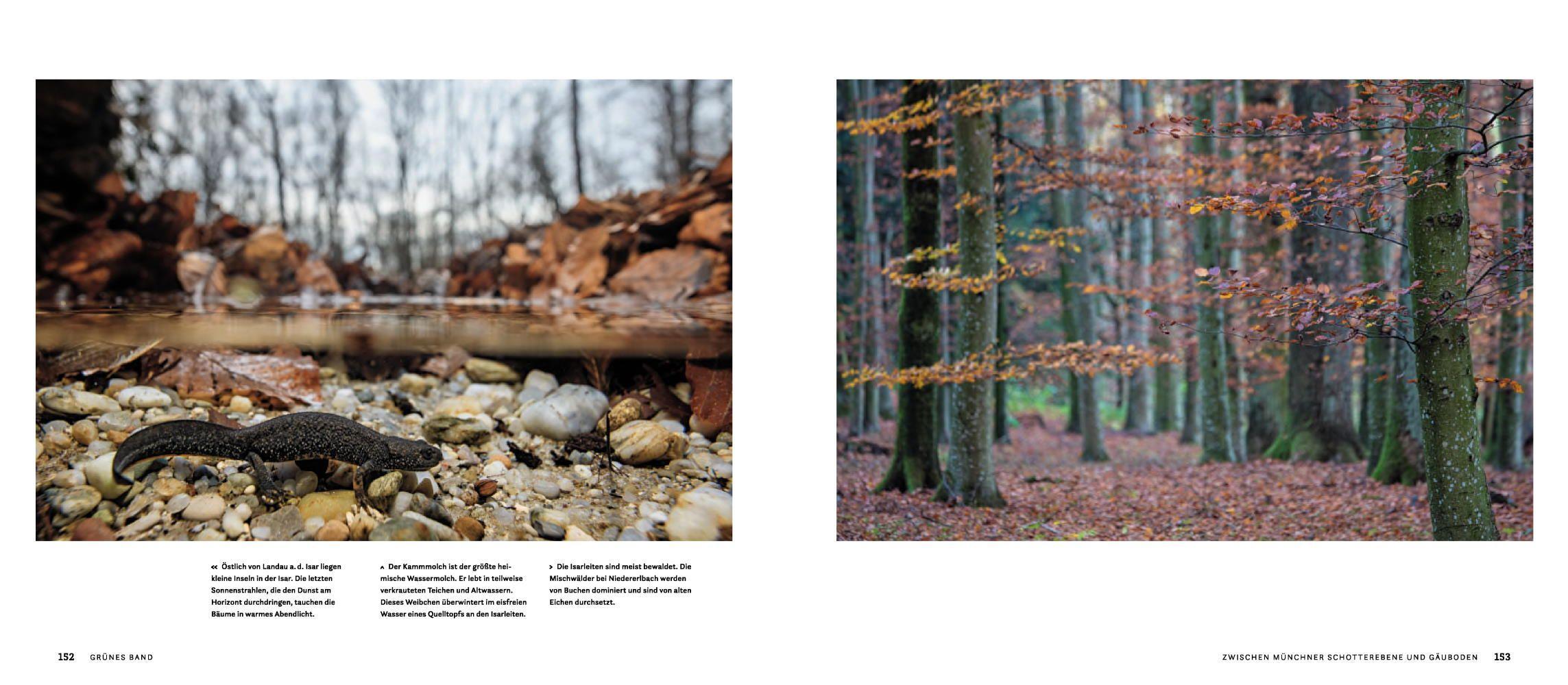 Beispielinhalt (Bild) Wilde Isar