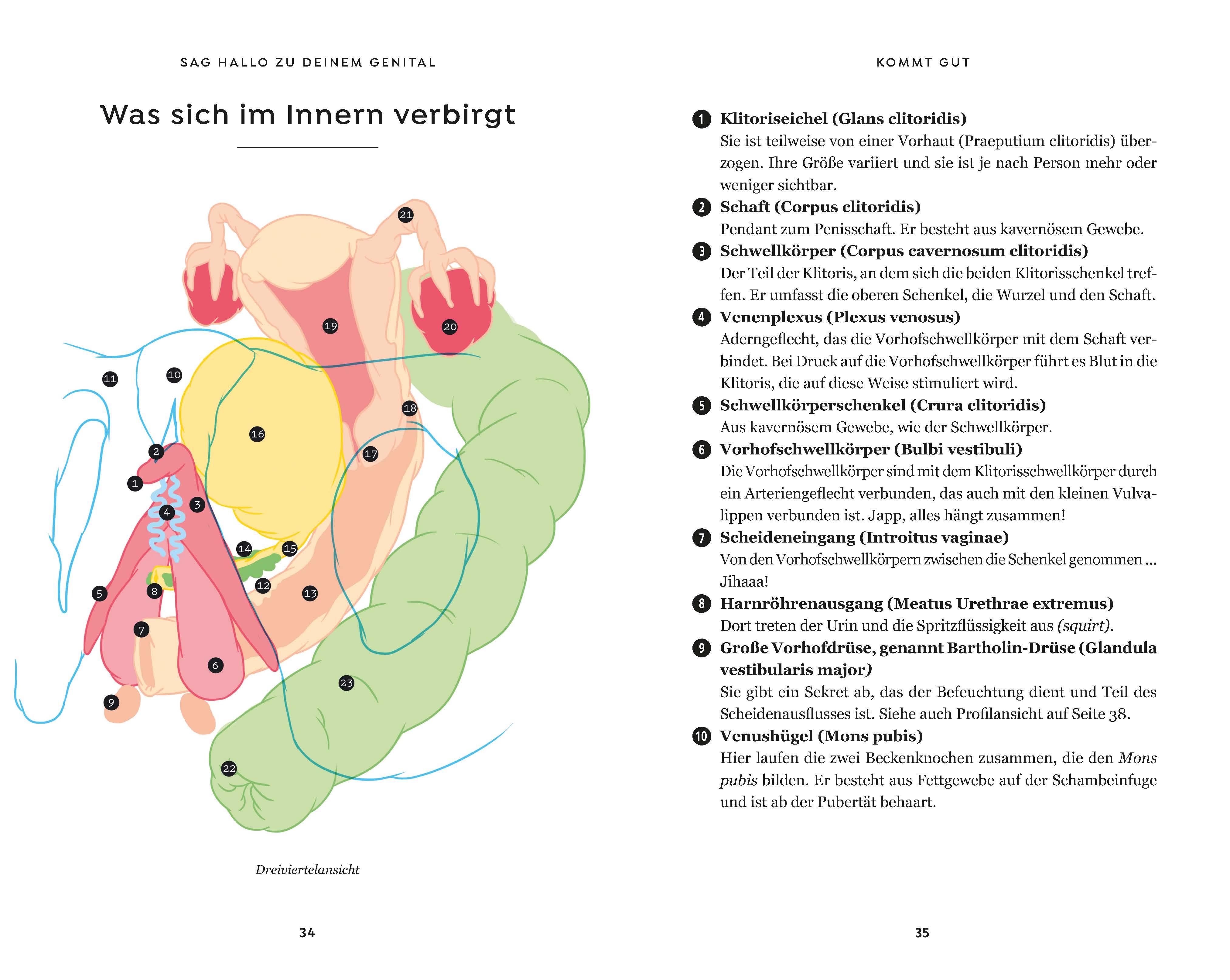 Beispielinhalt (Bild) Kommt gut