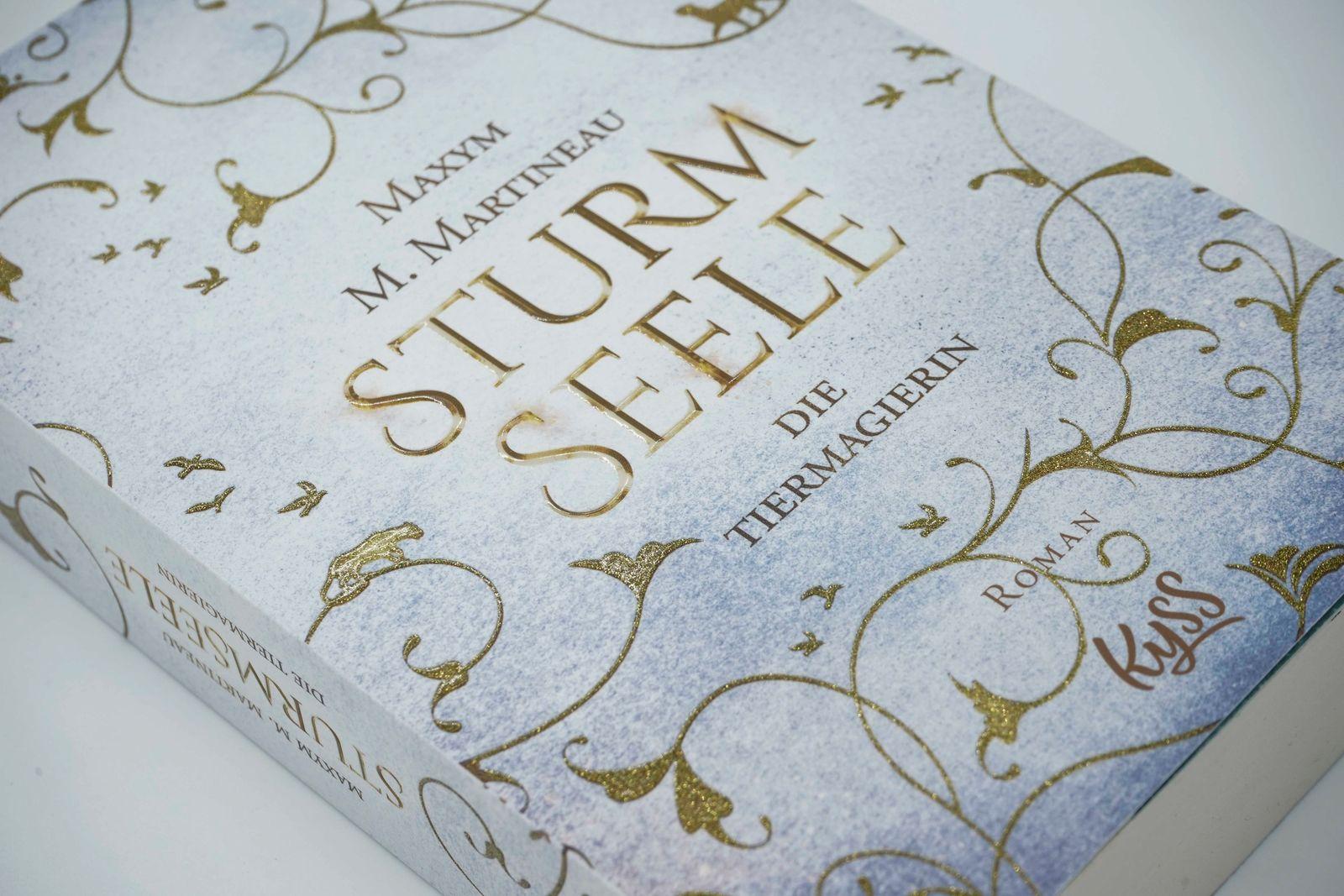 Beispielinhalt (Bild) Die Tiermagierin - Sturmseele