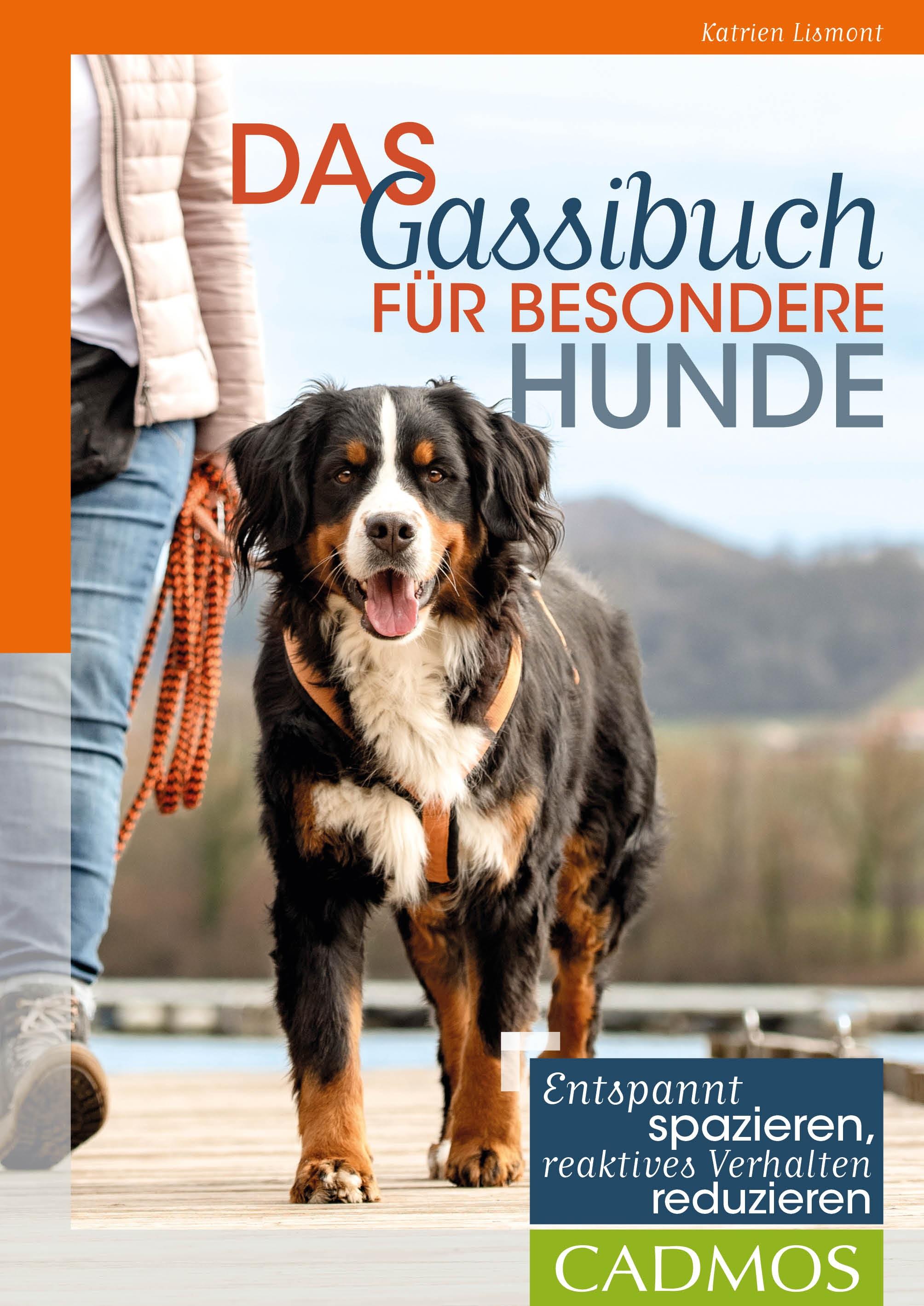 Vorderes Coverbild Das Gassibuch für besondere Hunde