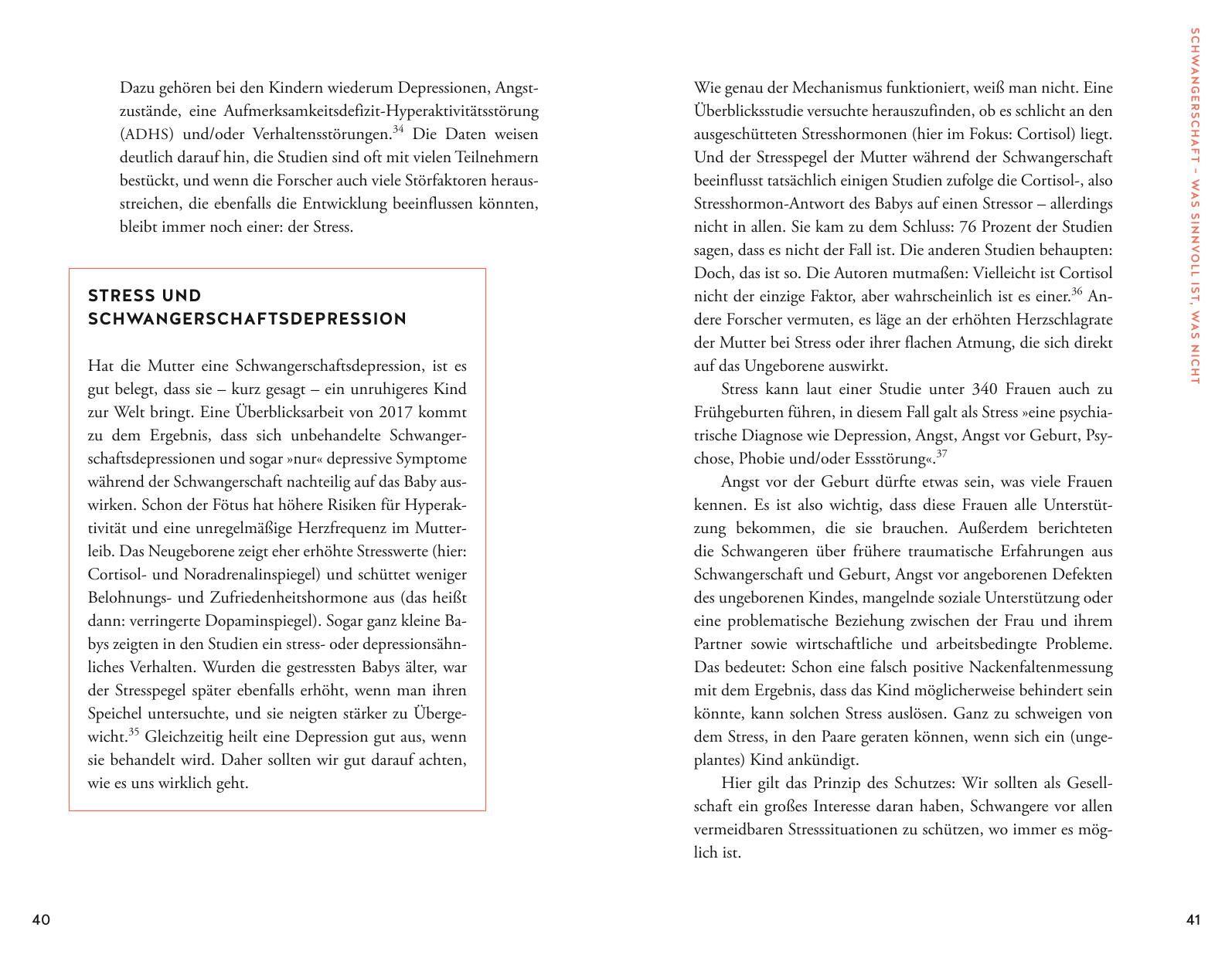 Beispielinhalt (Bild) Der Elternkompass