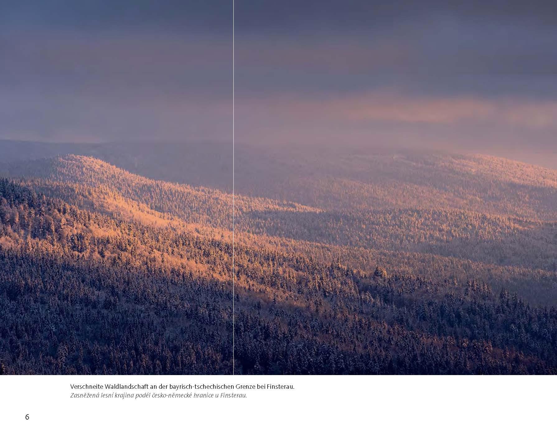 Beispielinhalt (Bild) Wildfremd