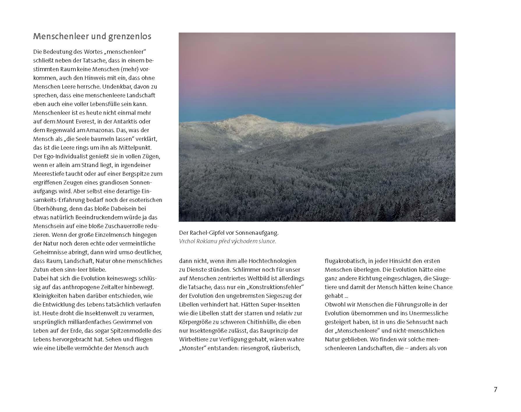 Beispielinhalt (Bild) Wildfremd