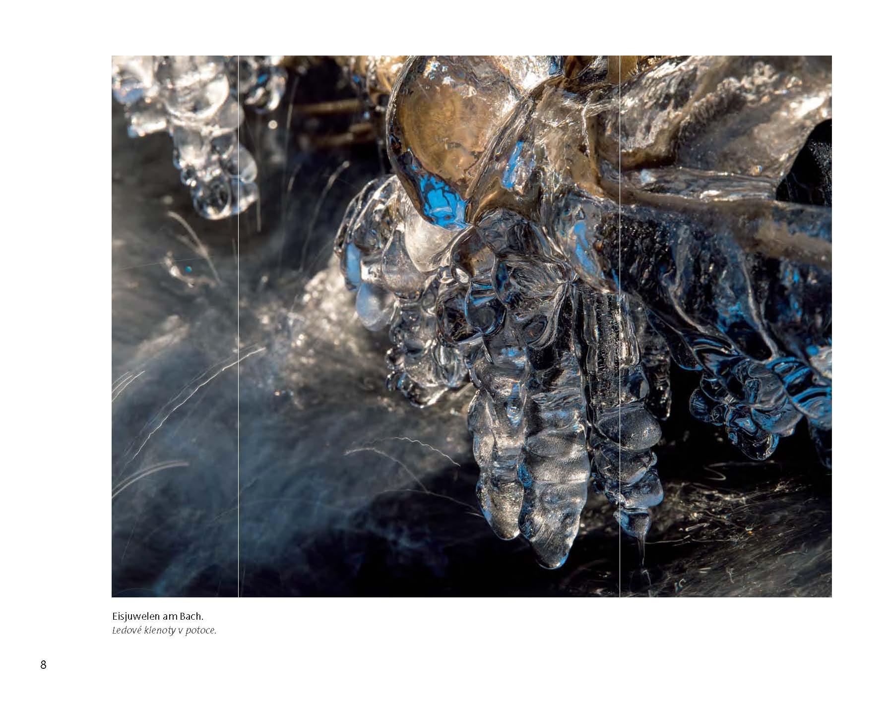 Beispielinhalt (Bild) Wildfremd