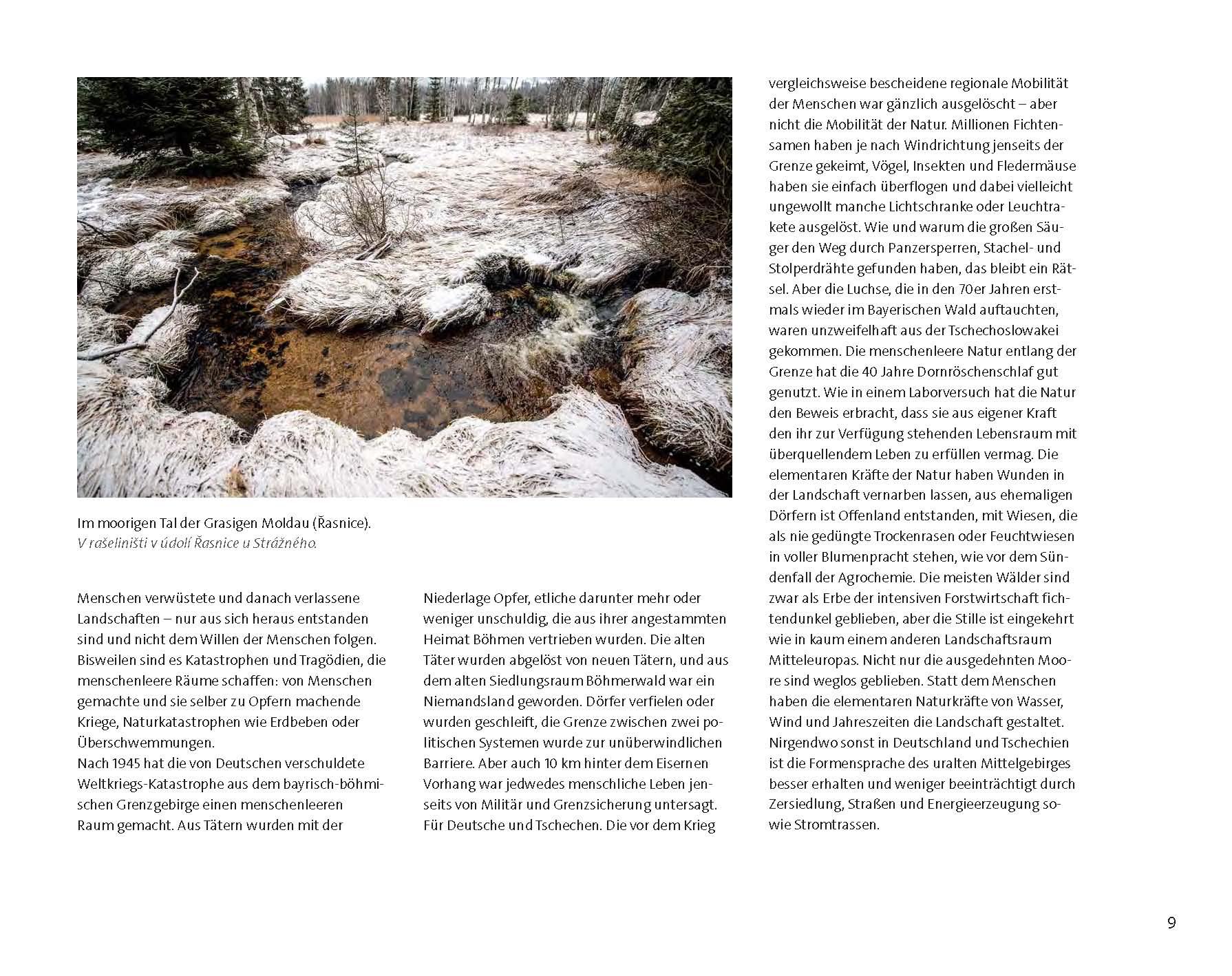 Beispielinhalt (Bild) Wildfremd