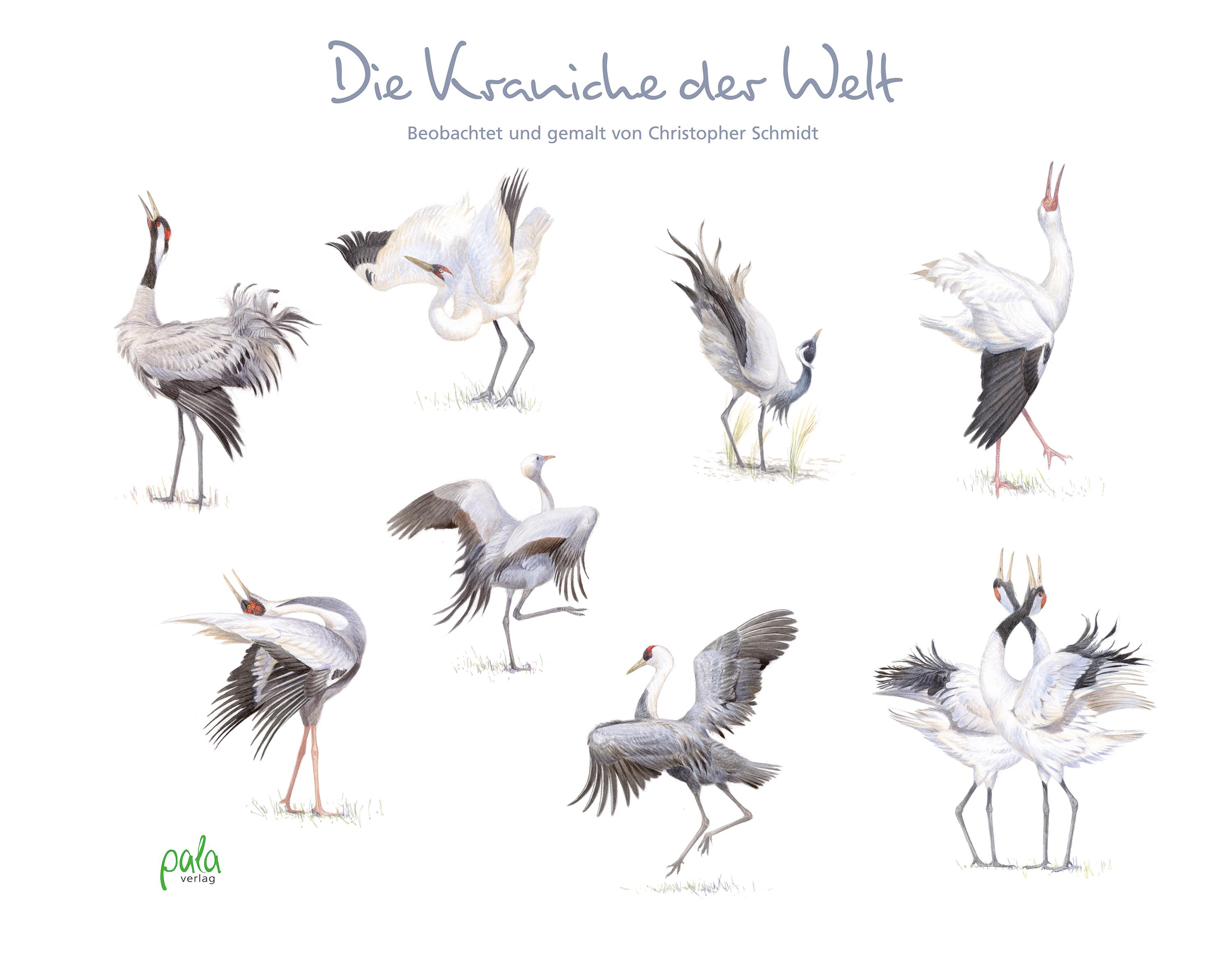 Vorderes Coverbild Die Kraniche der Welt