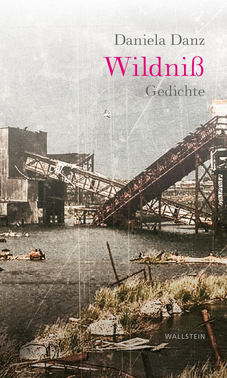 Vorderes Coverbild Wildniß