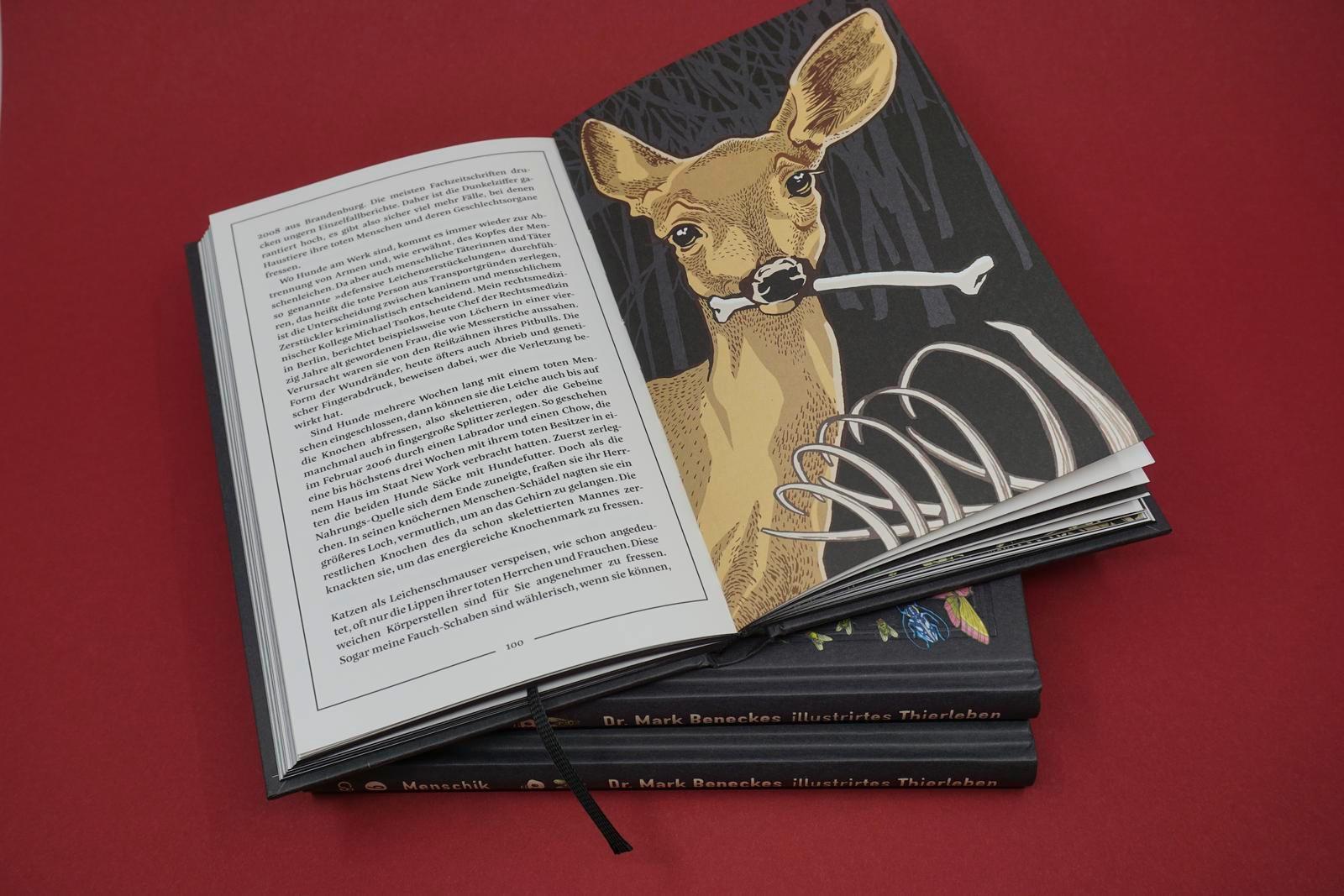 Beispielinhalt (Bild) Kat Menschiks und des Diplom-Biologen Doctor Rerum Medicinalium Mark Beneckes Illustrirtes Thierleben