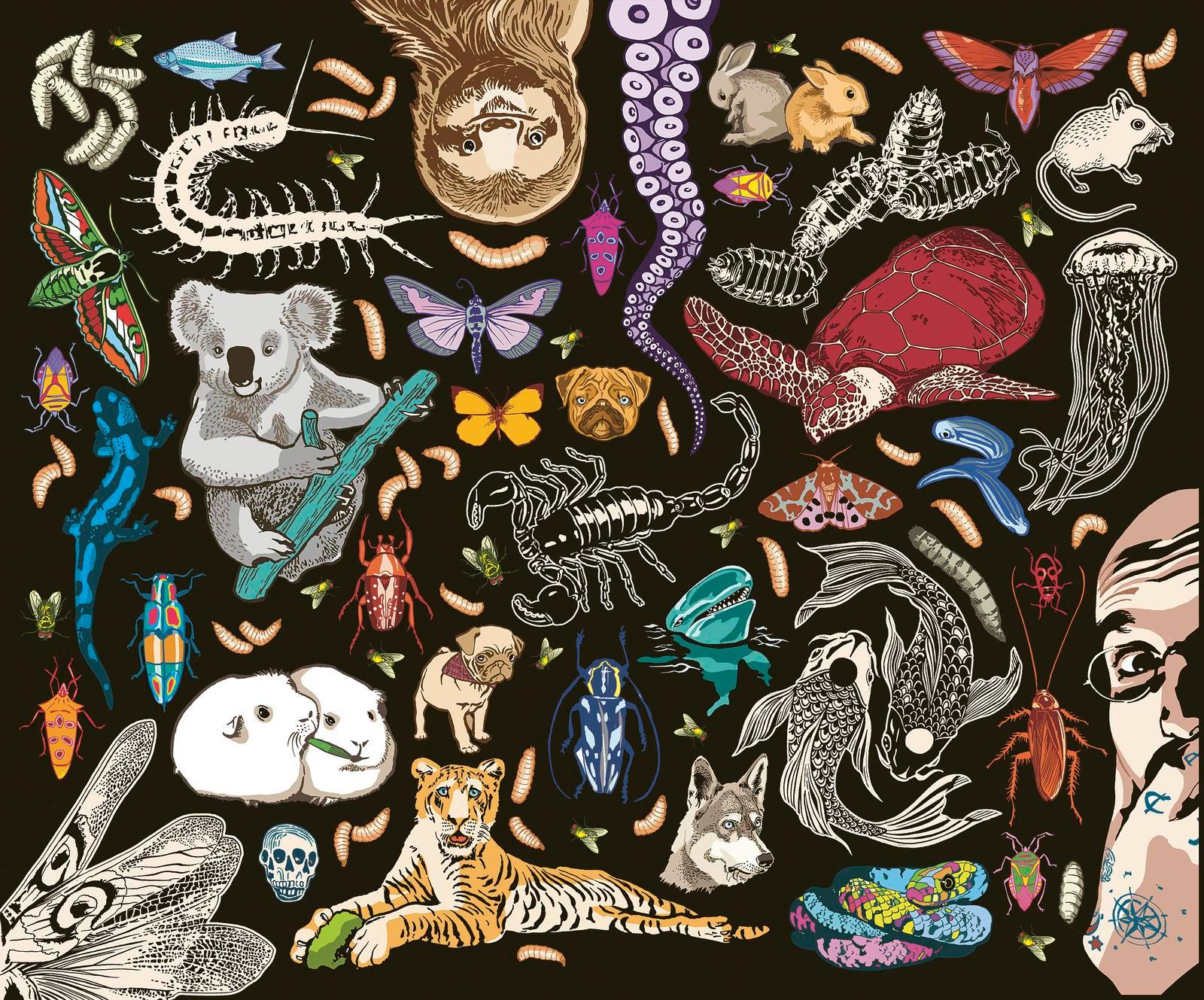 Beispielinhalt (Bild) Kat Menschiks und des Diplom-Biologen Doctor Rerum Medicinalium Mark Beneckes Illustrirtes Thierleben