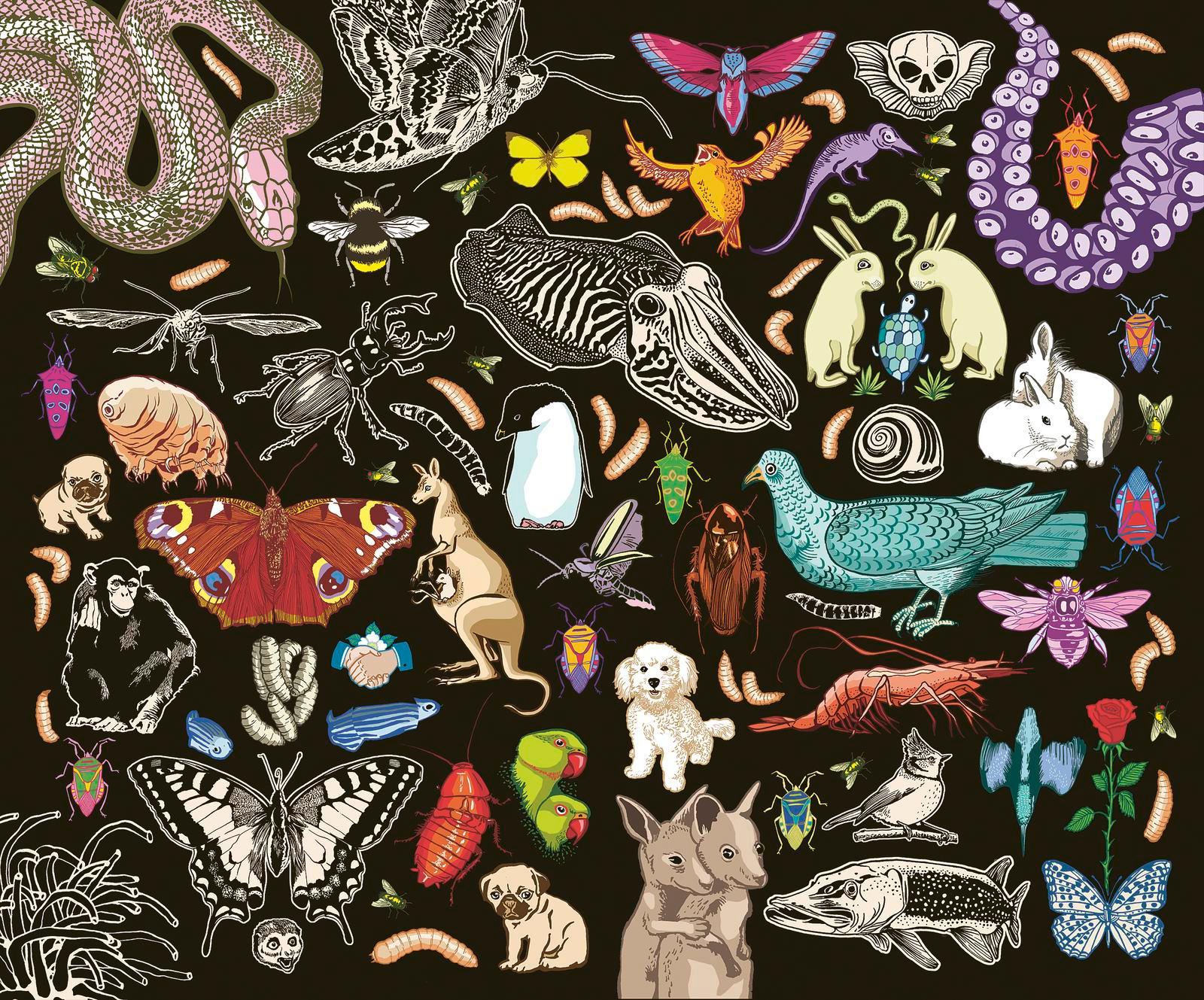 Beispielinhalt (Bild) Kat Menschiks und des Diplom-Biologen Doctor Rerum Medicinalium Mark Beneckes Illustrirtes Thierleben