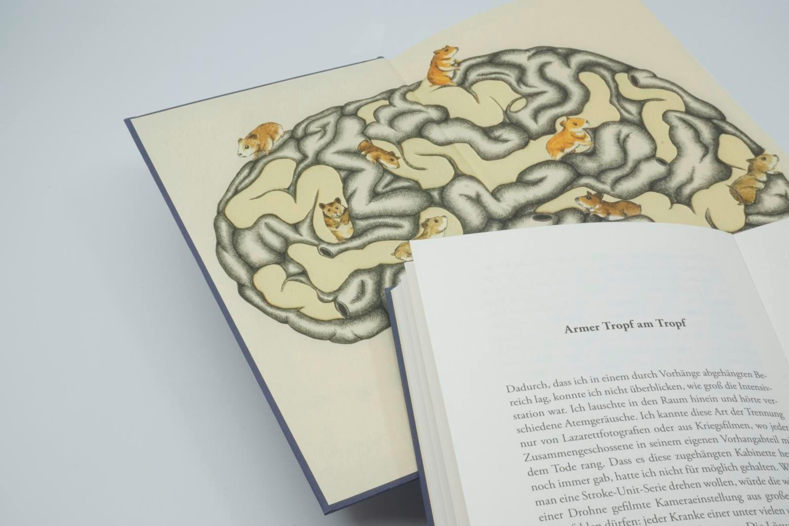 Beispielinhalt (Bild) Hamster im hinteren Stromgebiet