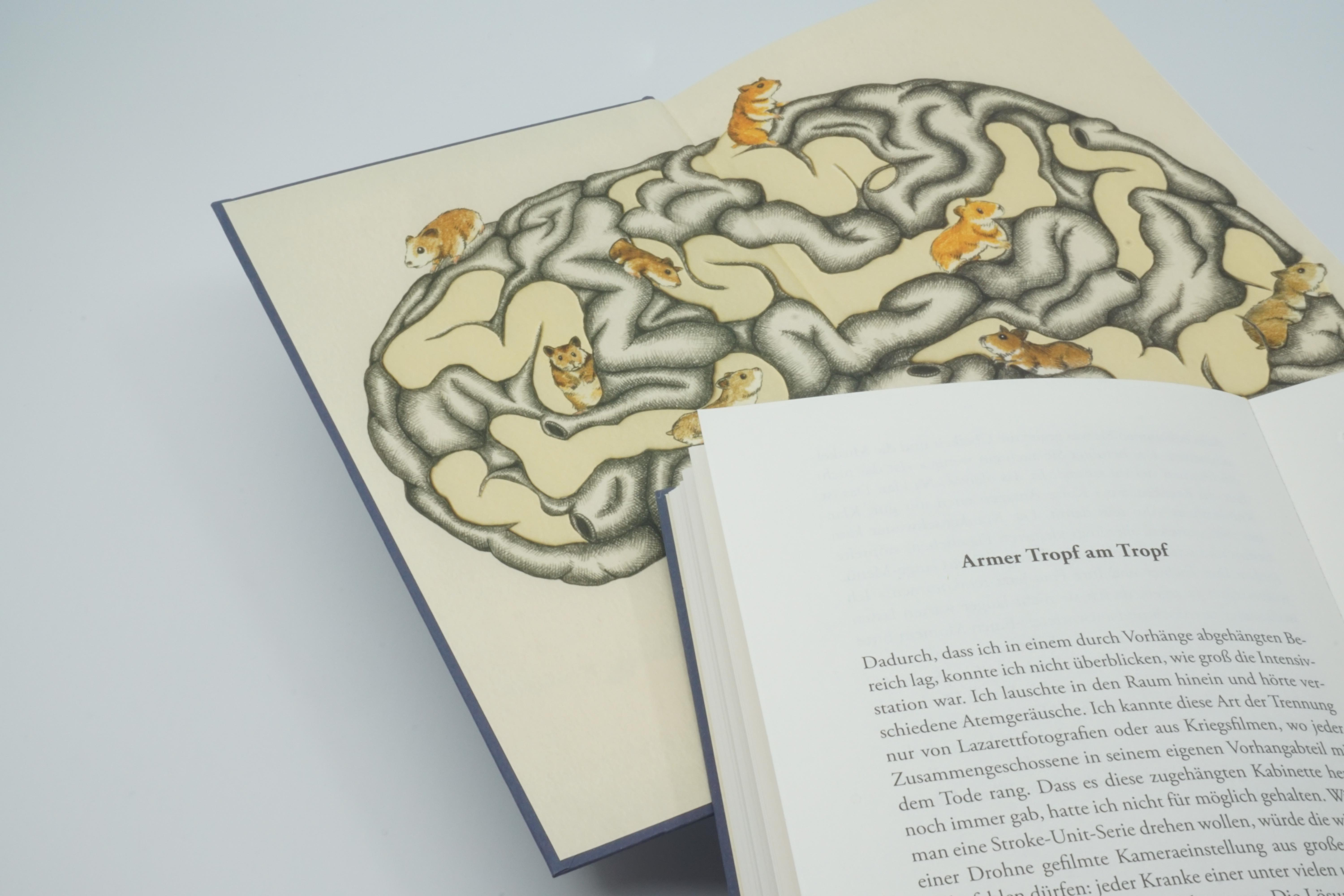 Beispielinhalt (Bild) Hamster im hinteren Stromgebiet