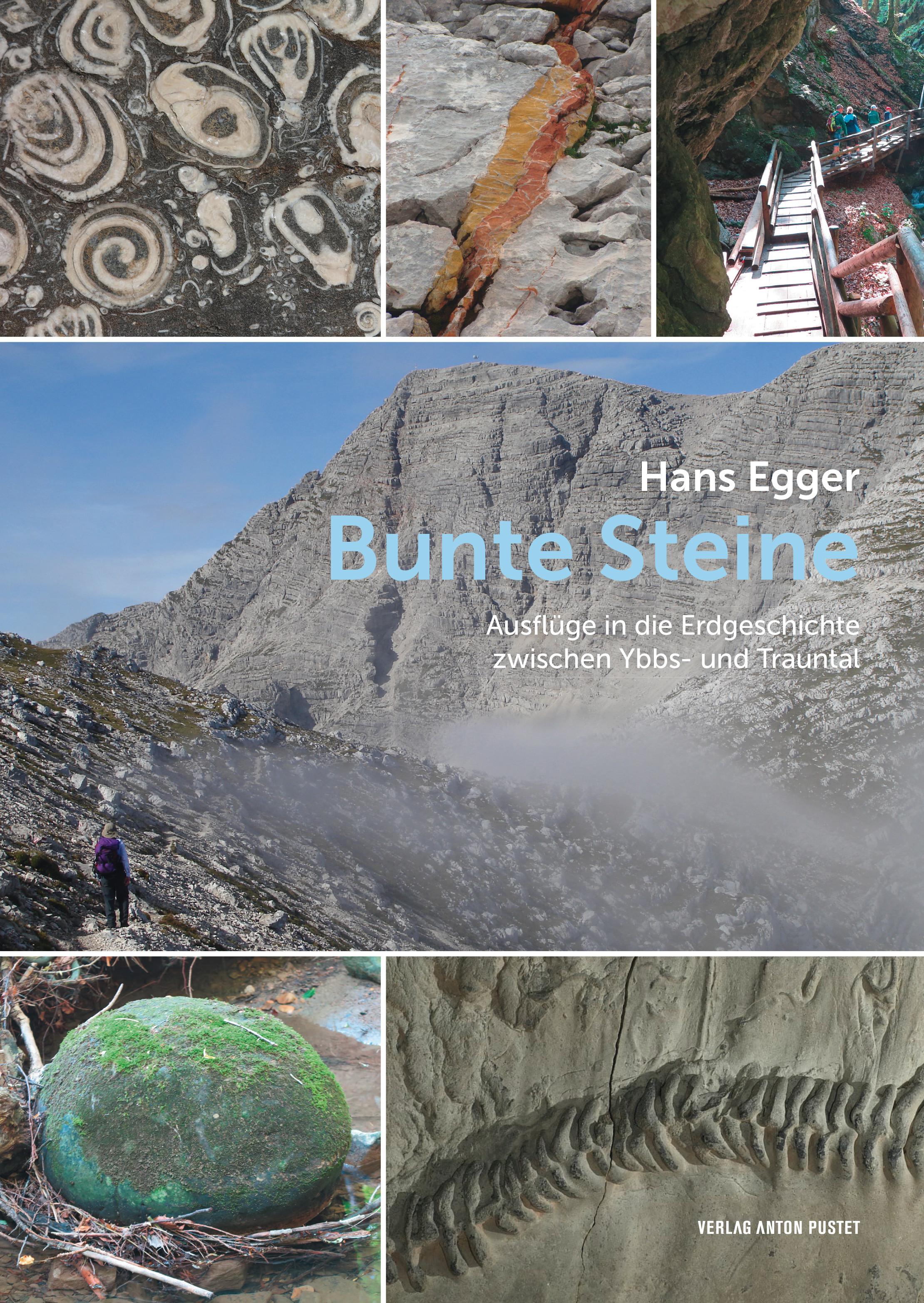 Vorderes Coverbild Bunte Steine