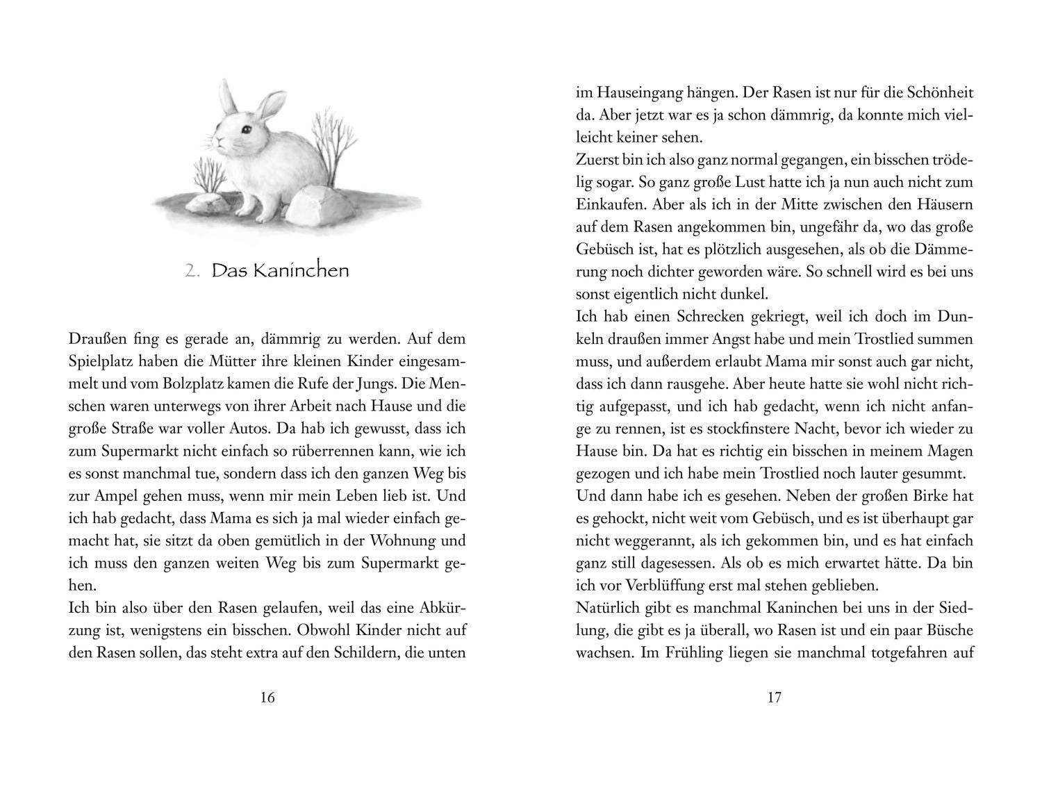 Beispielinhalt (Bild) Der durch den Spiegel kommt