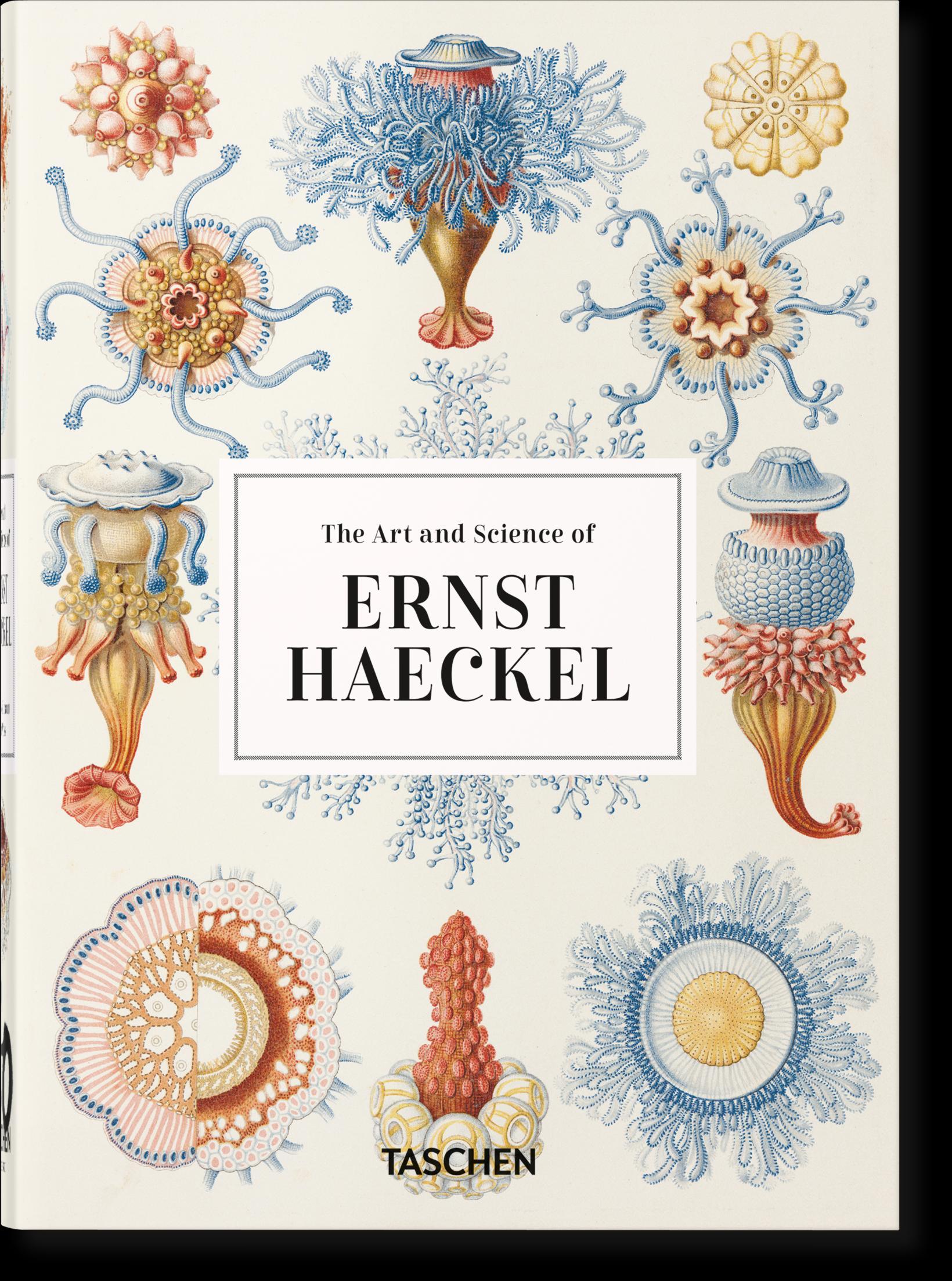 Vorderes Coverbild Ernst Haeckel. Kunst und Wissenschaft. 40th Ed.