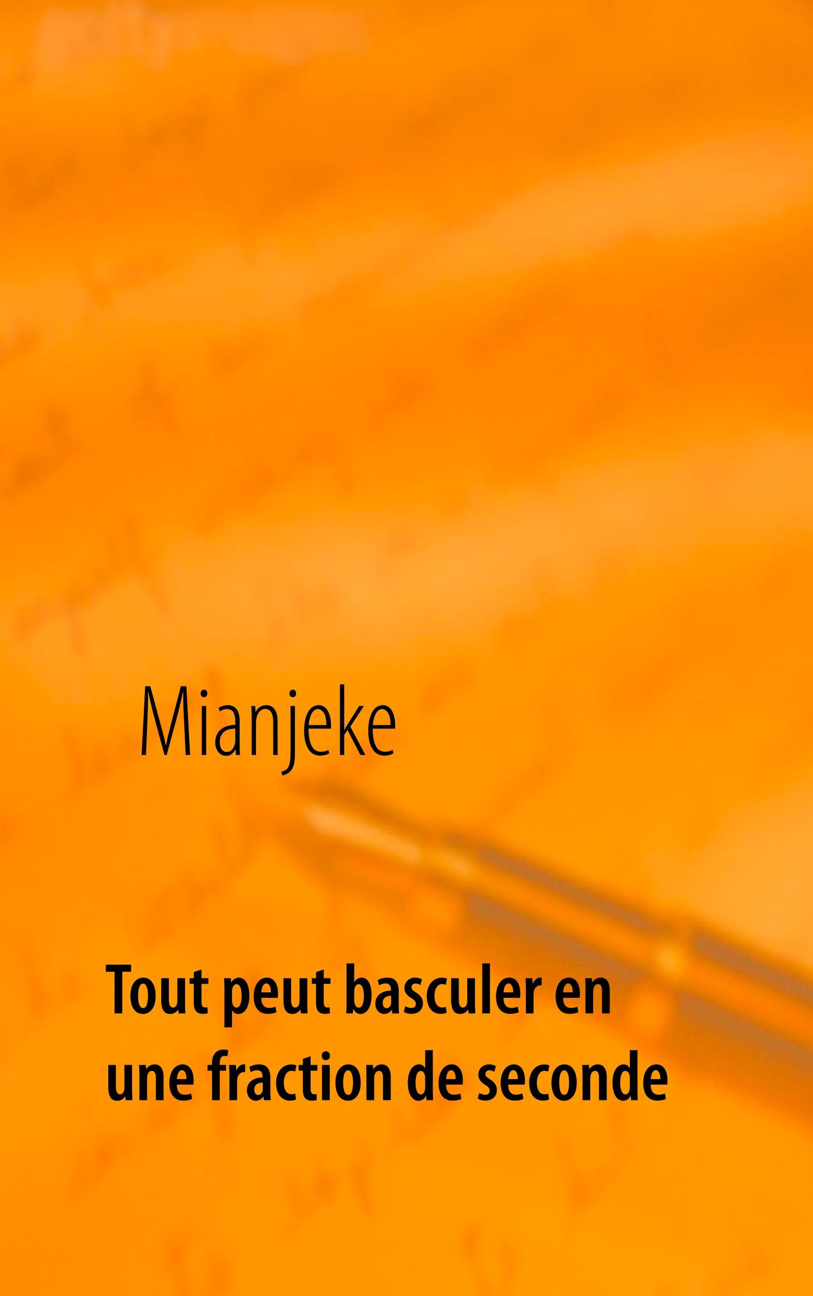 Vorderes Coverbild Tout peut basculer en une fraction de seconde