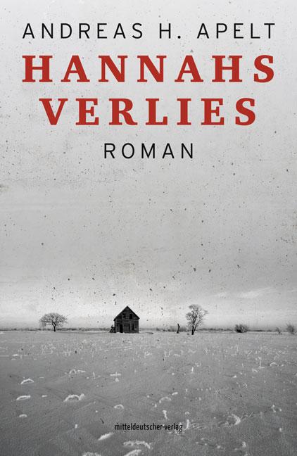 Vorderes Coverbild Hannahs Verlies