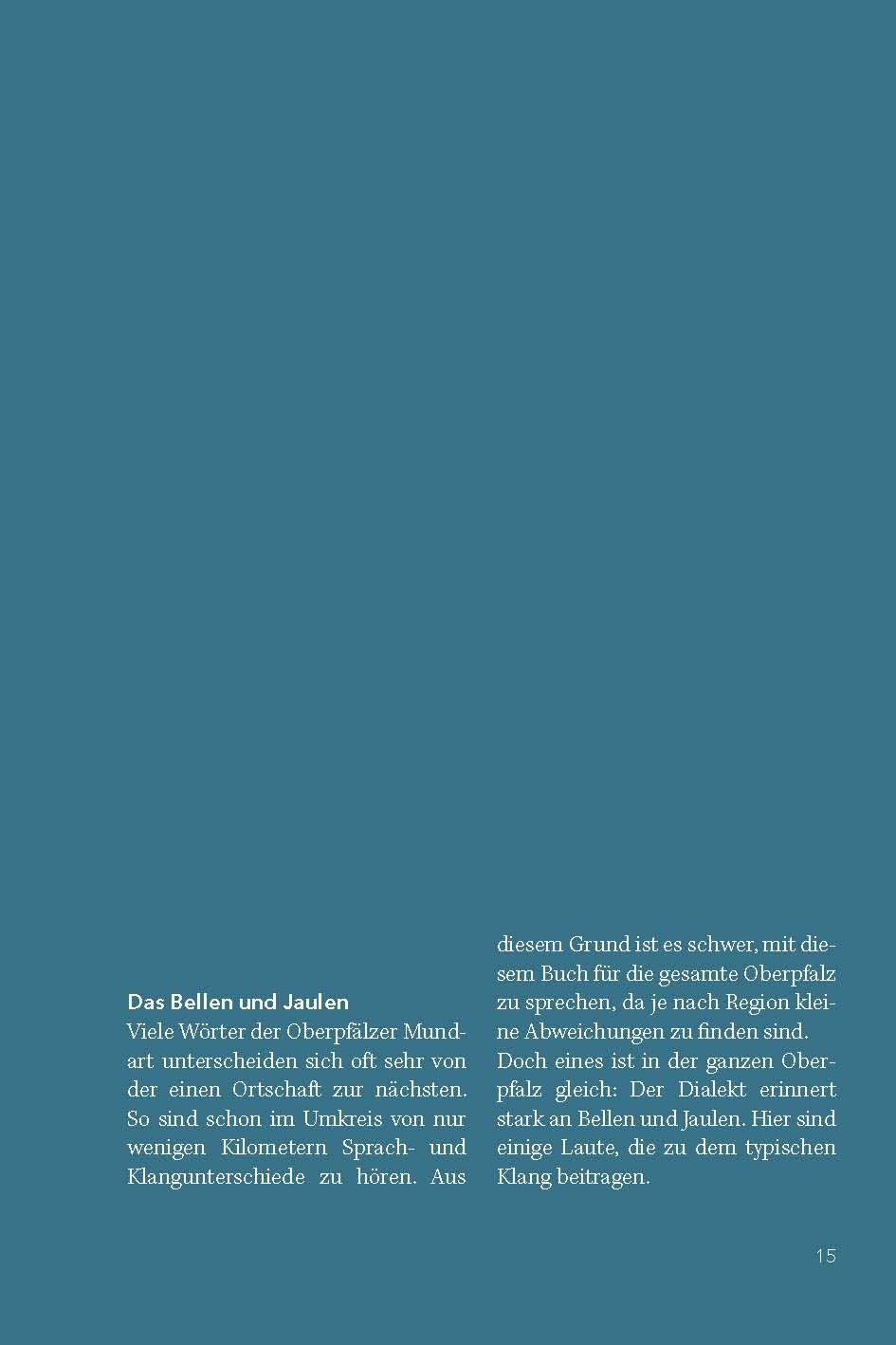 Beispielinhalt (Bild) Des konnst deim Bou veazöhln