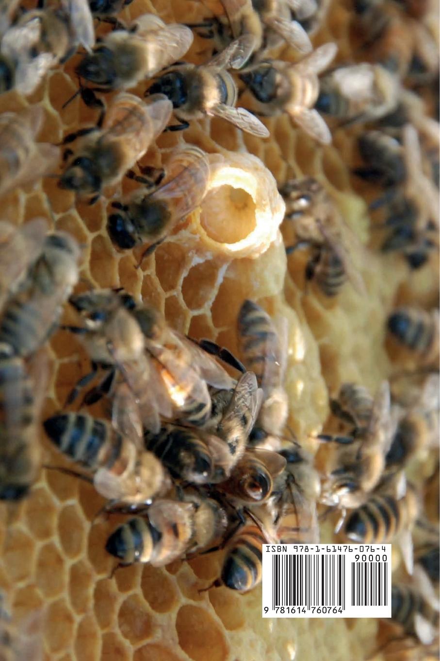 Rückseitencover The Practical Queen Breeder