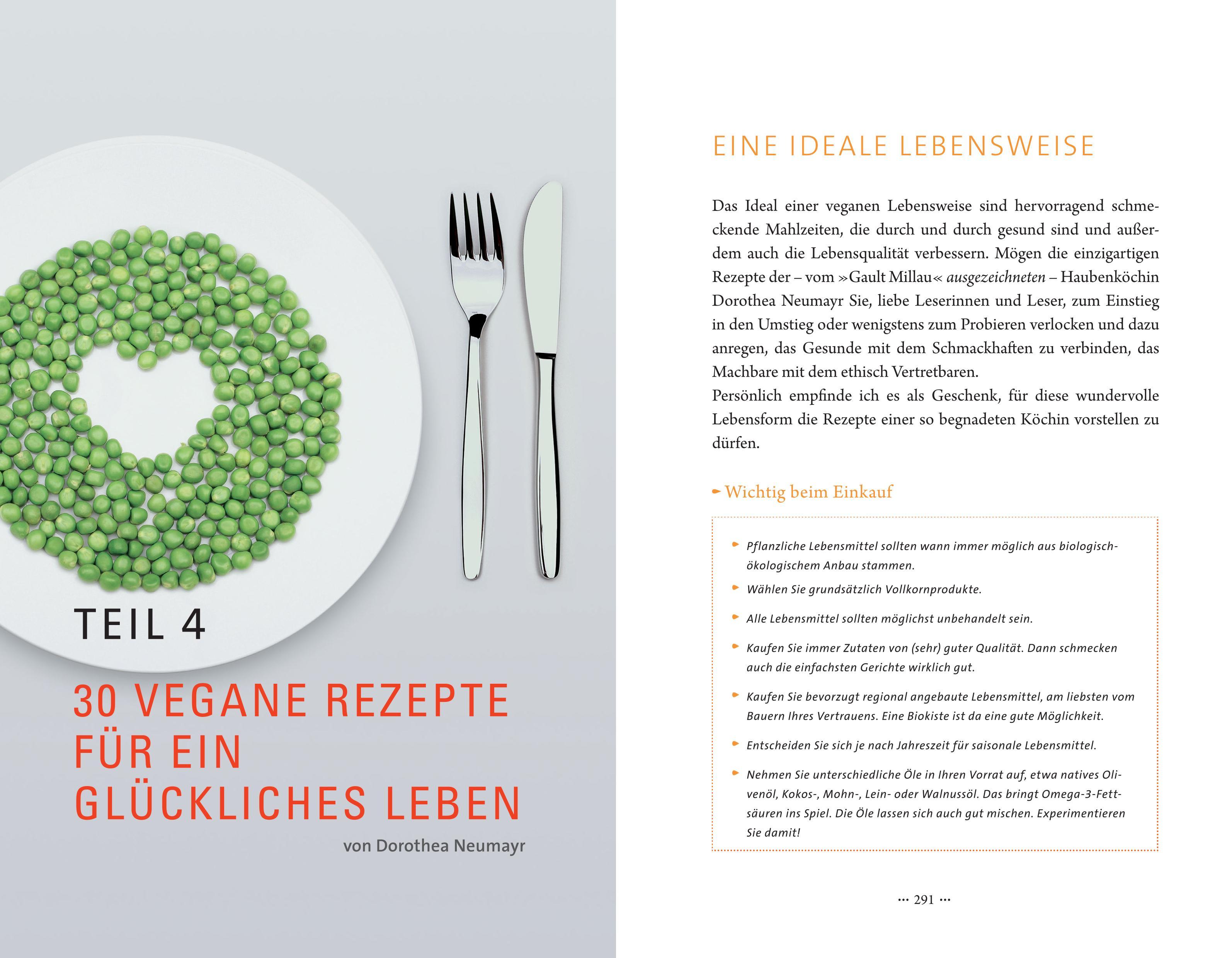 Beispielinhalt (Bild) Peace Food