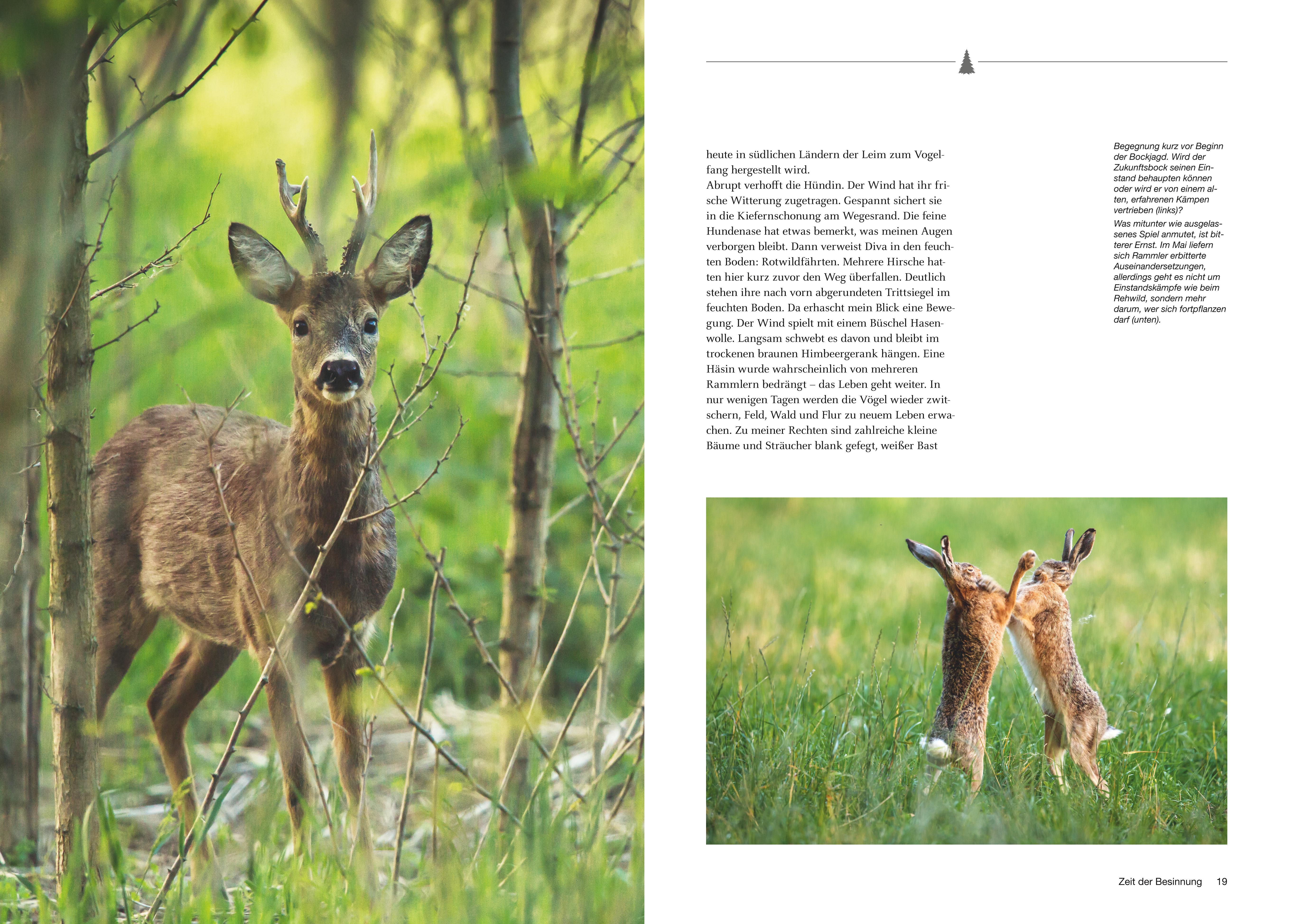 Beispielinhalt (Bild) Besondere Jagdmomente