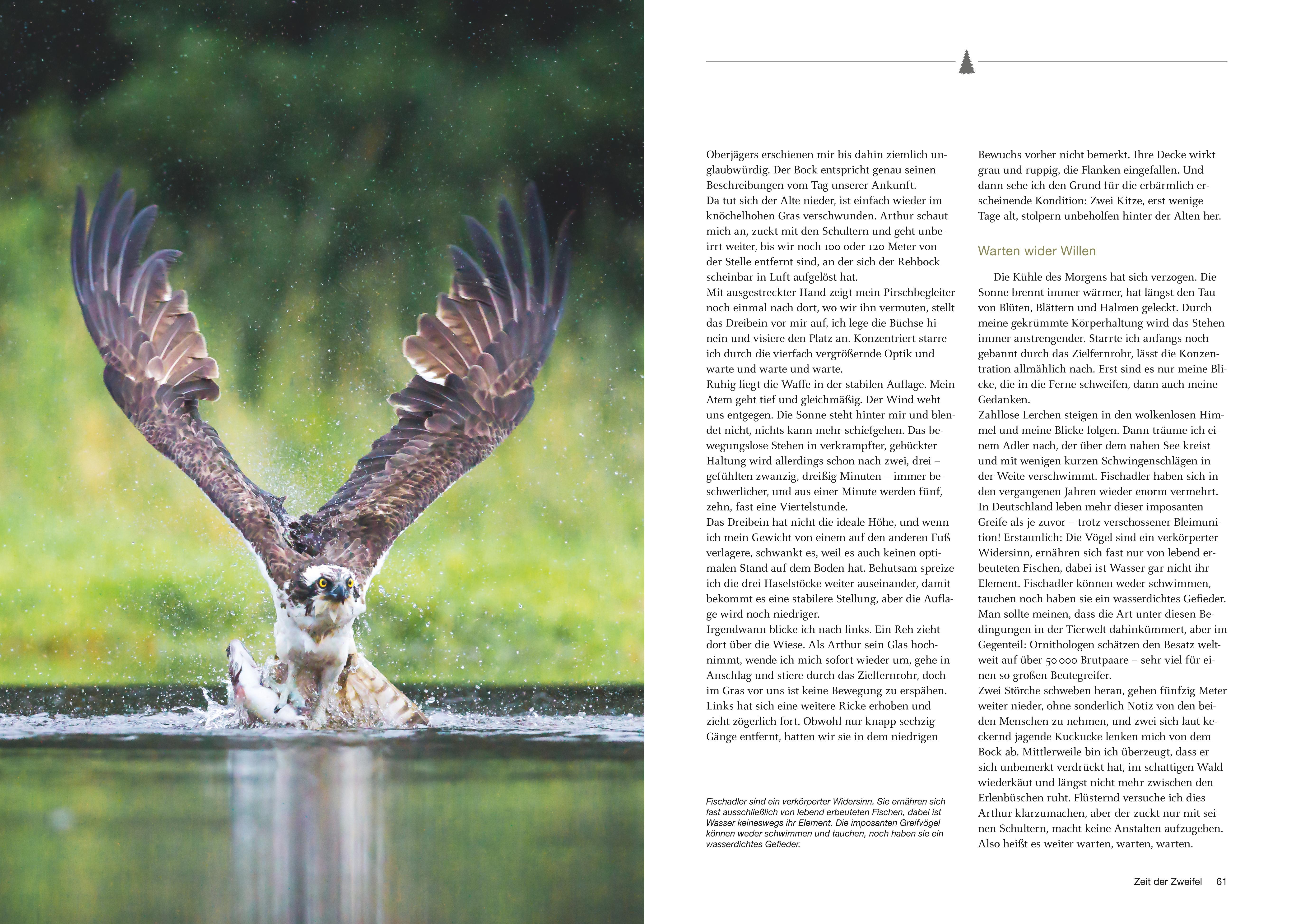 Beispielinhalt (Bild) Besondere Jagdmomente