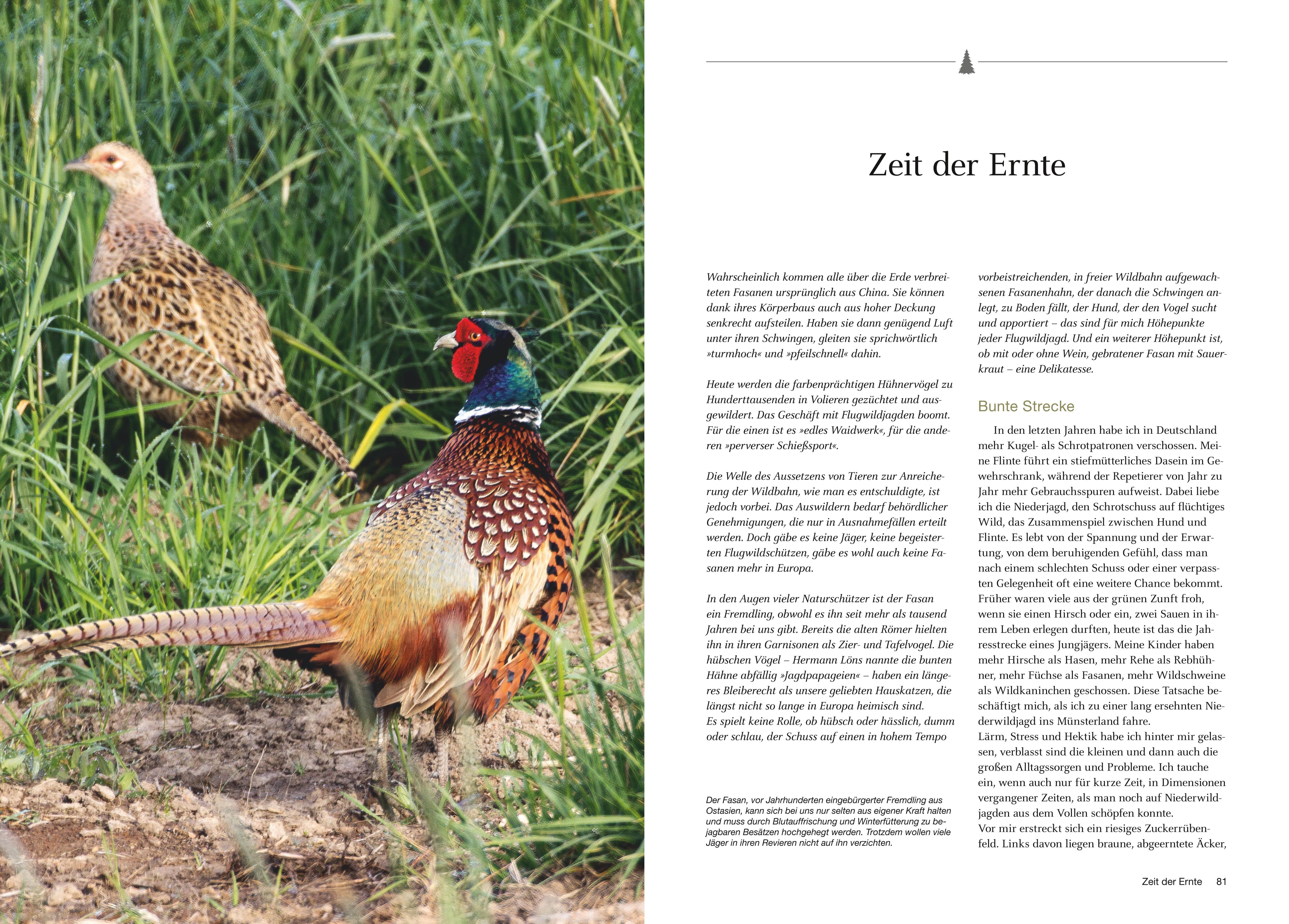 Beispielinhalt (Bild) Besondere Jagdmomente