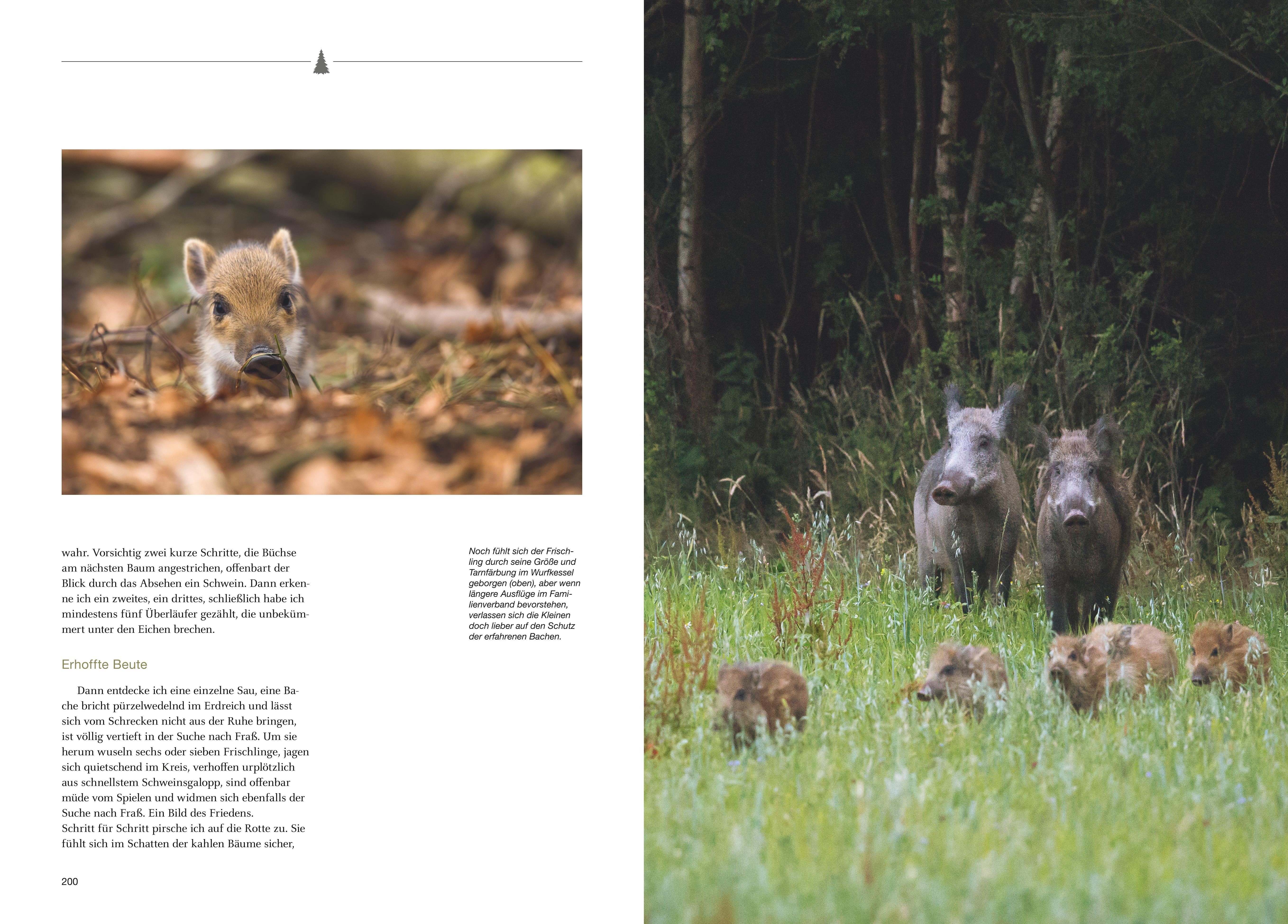 Beispielinhalt (Bild) Besondere Jagdmomente