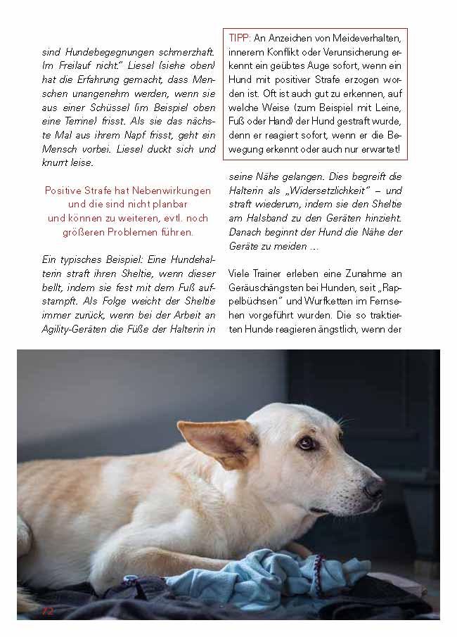 Beispielinhalt (Bild) Grenzen setzen