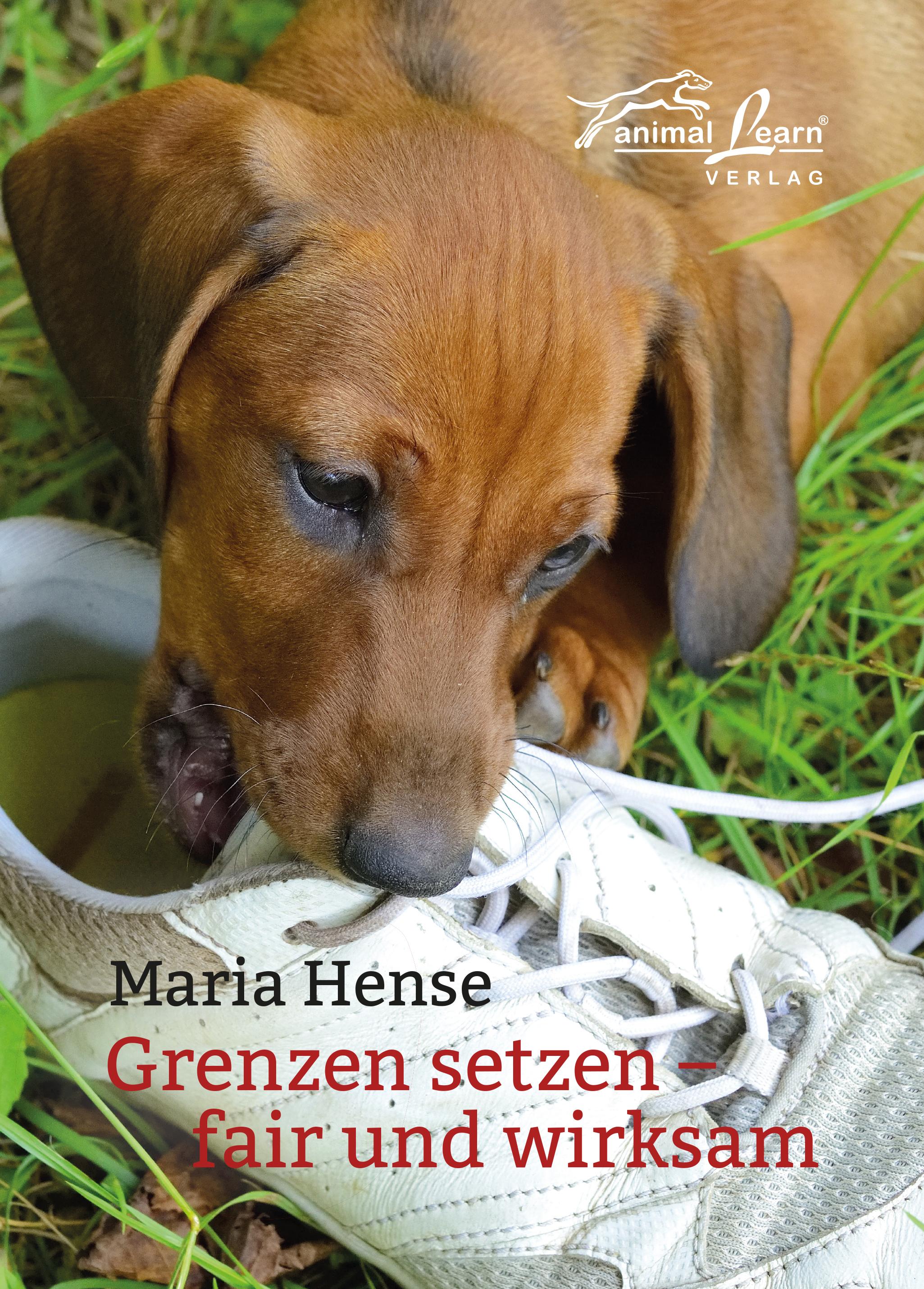 Vorderes Coverbild Grenzen setzen