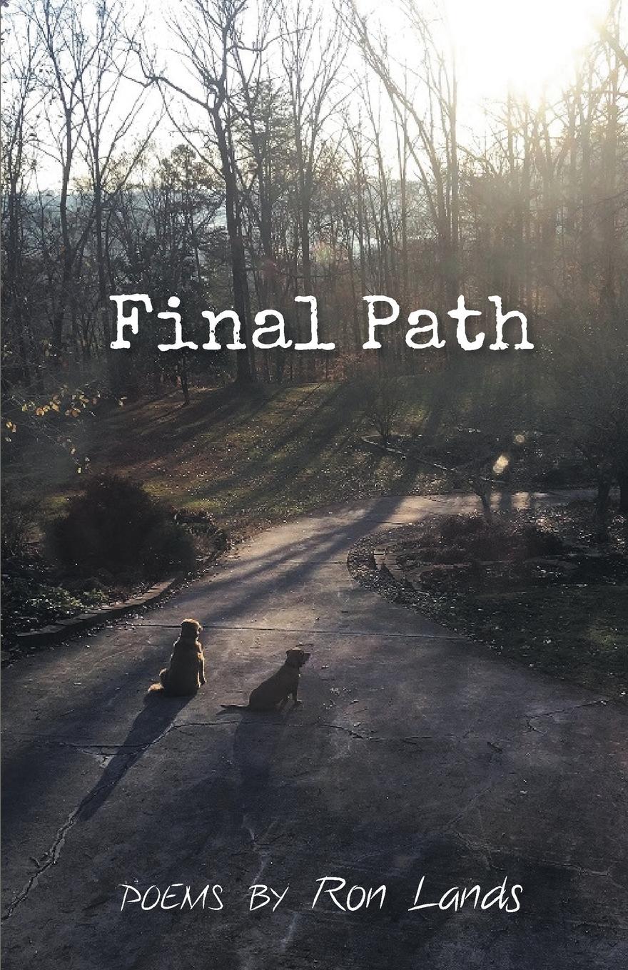 Vorderes Coverbild Final Path