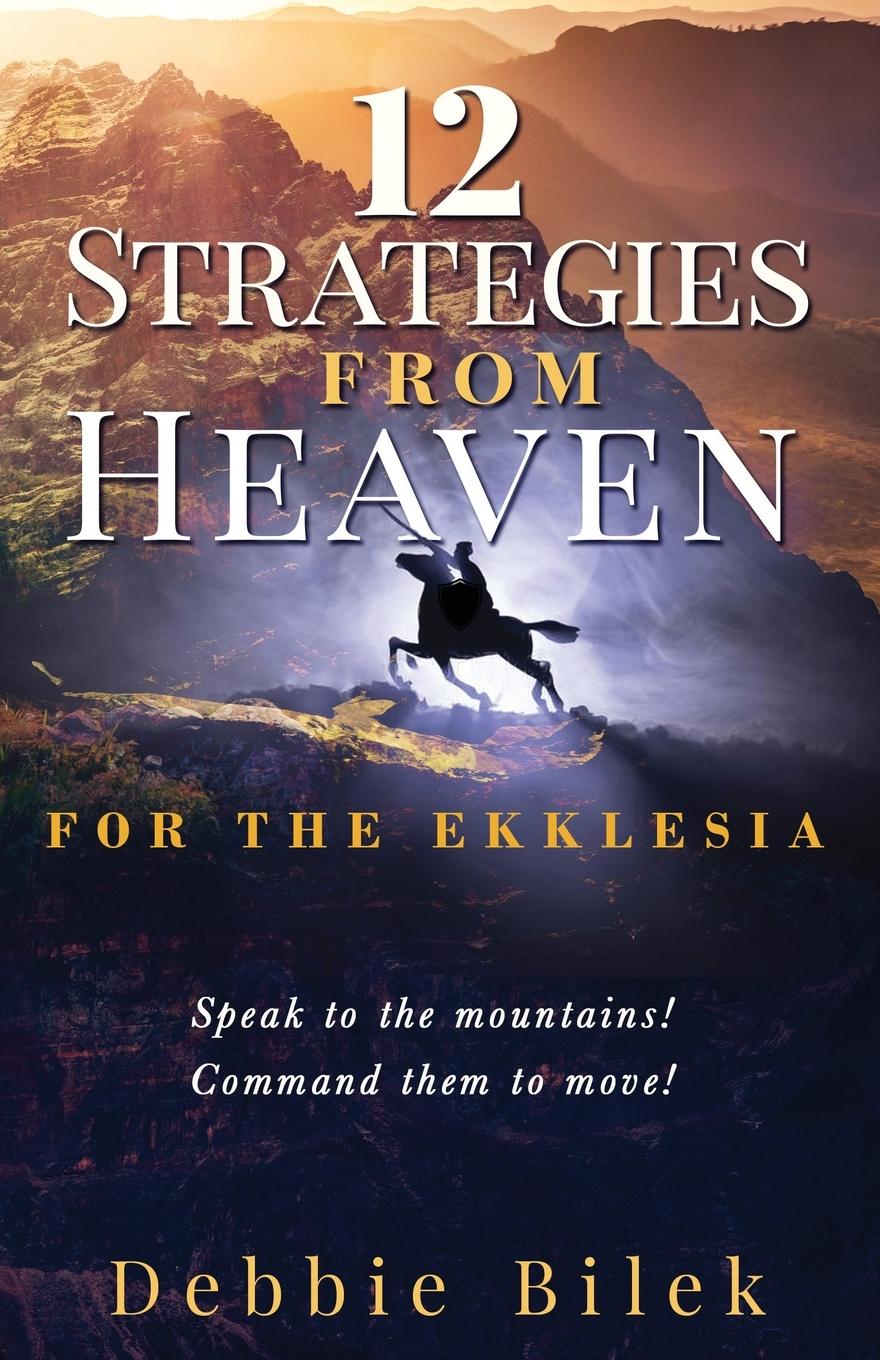 Vorderes Coverbild 12 STRATEGIES FROM HEAVEN