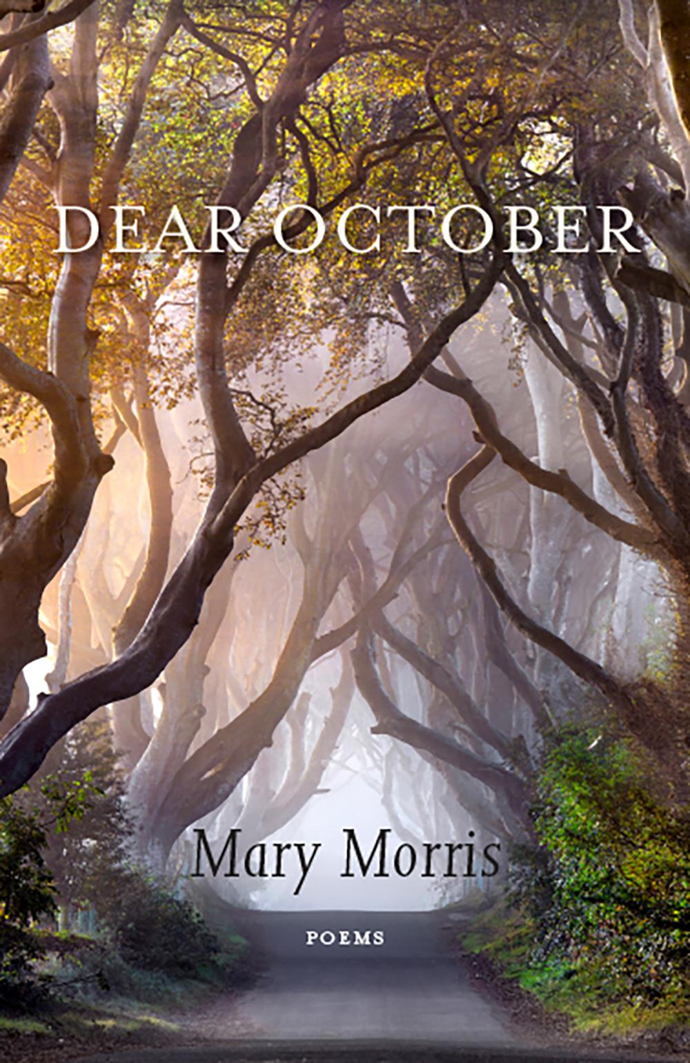 Vorderes Coverbild Dear October