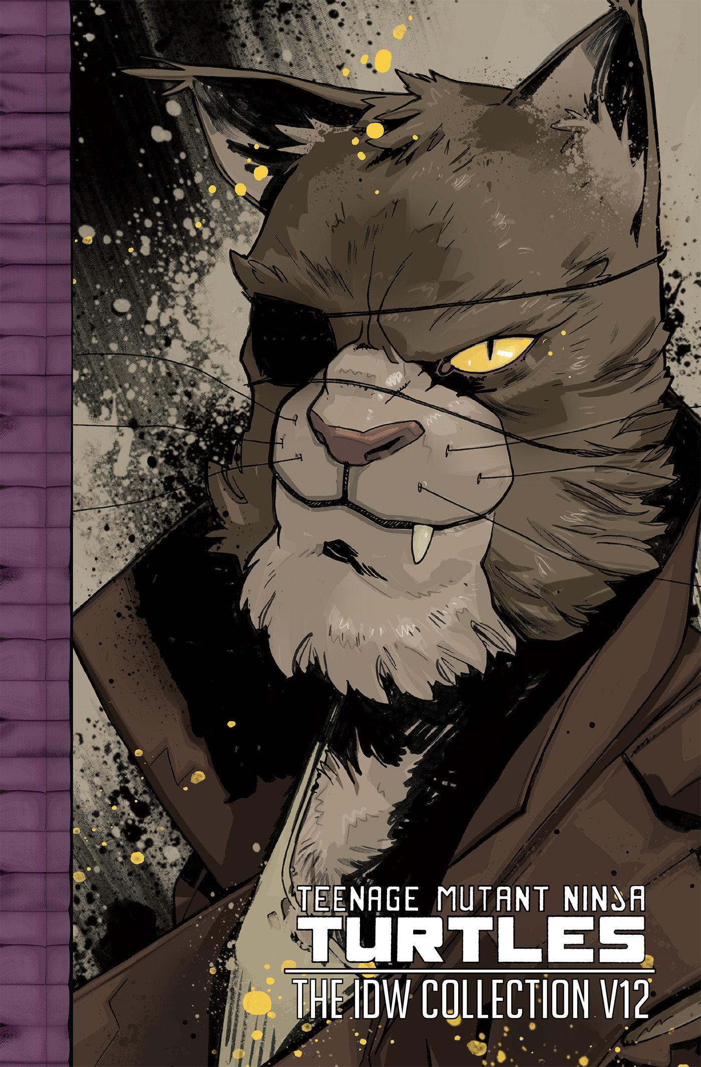 Vorderes Coverbild Teenage Mutant Ninja Turtles: The IDW Collection Volume 12