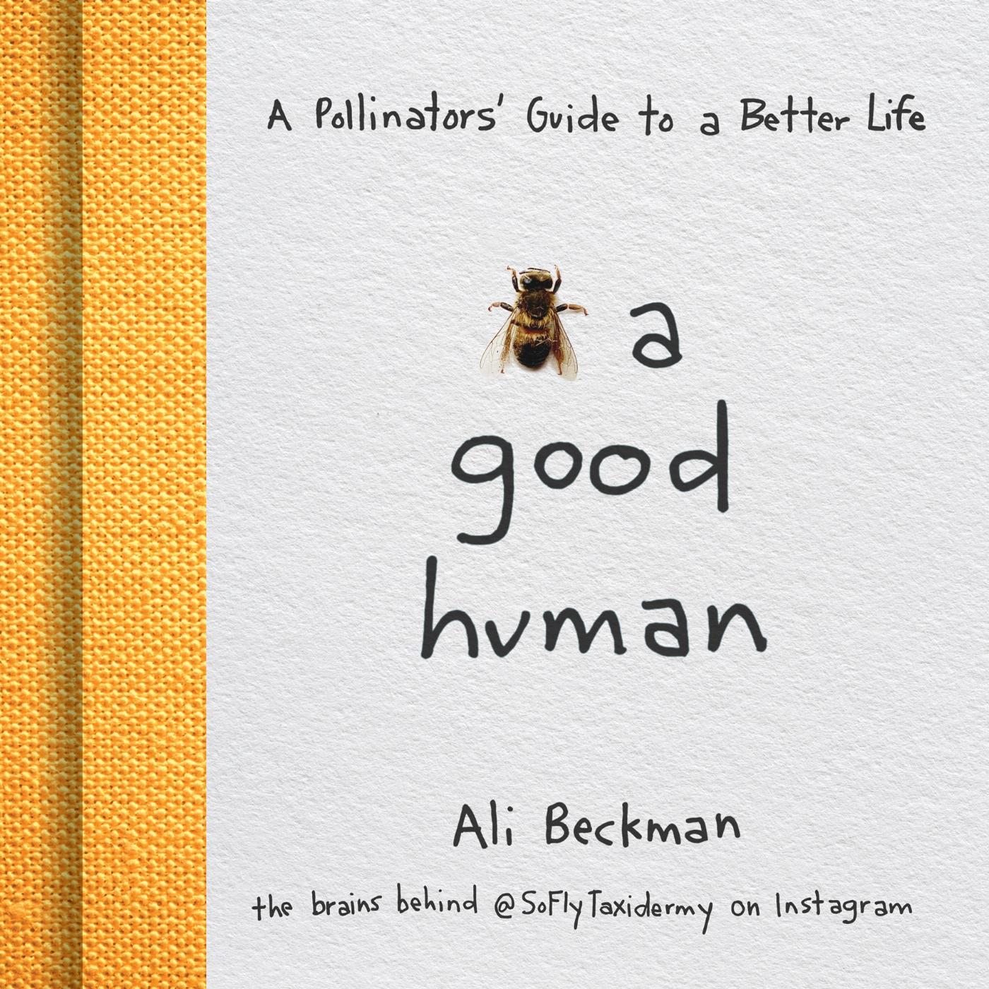Vorderes Coverbild Bee a Good Human