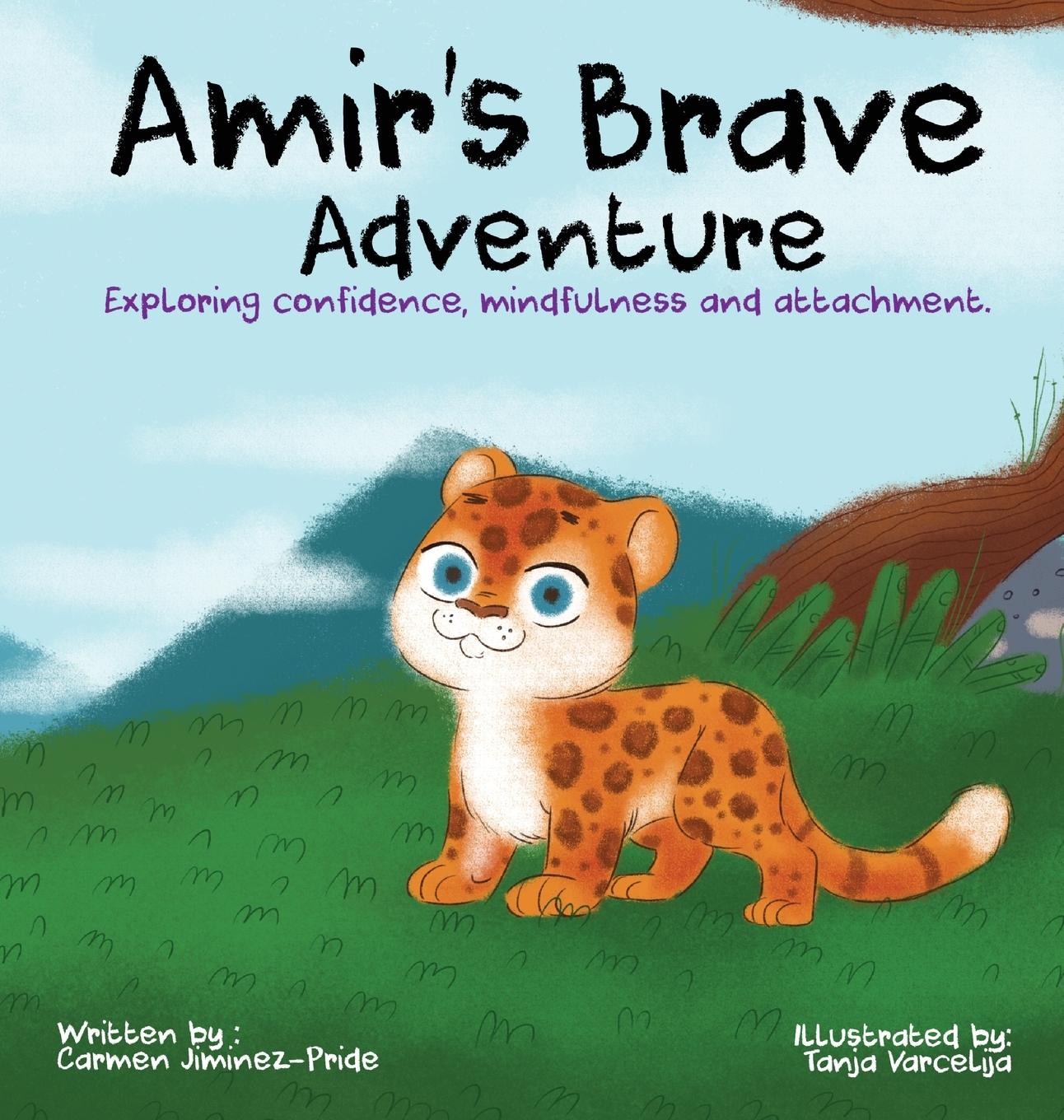 Vorderes Coverbild Amir's Brave Adventure