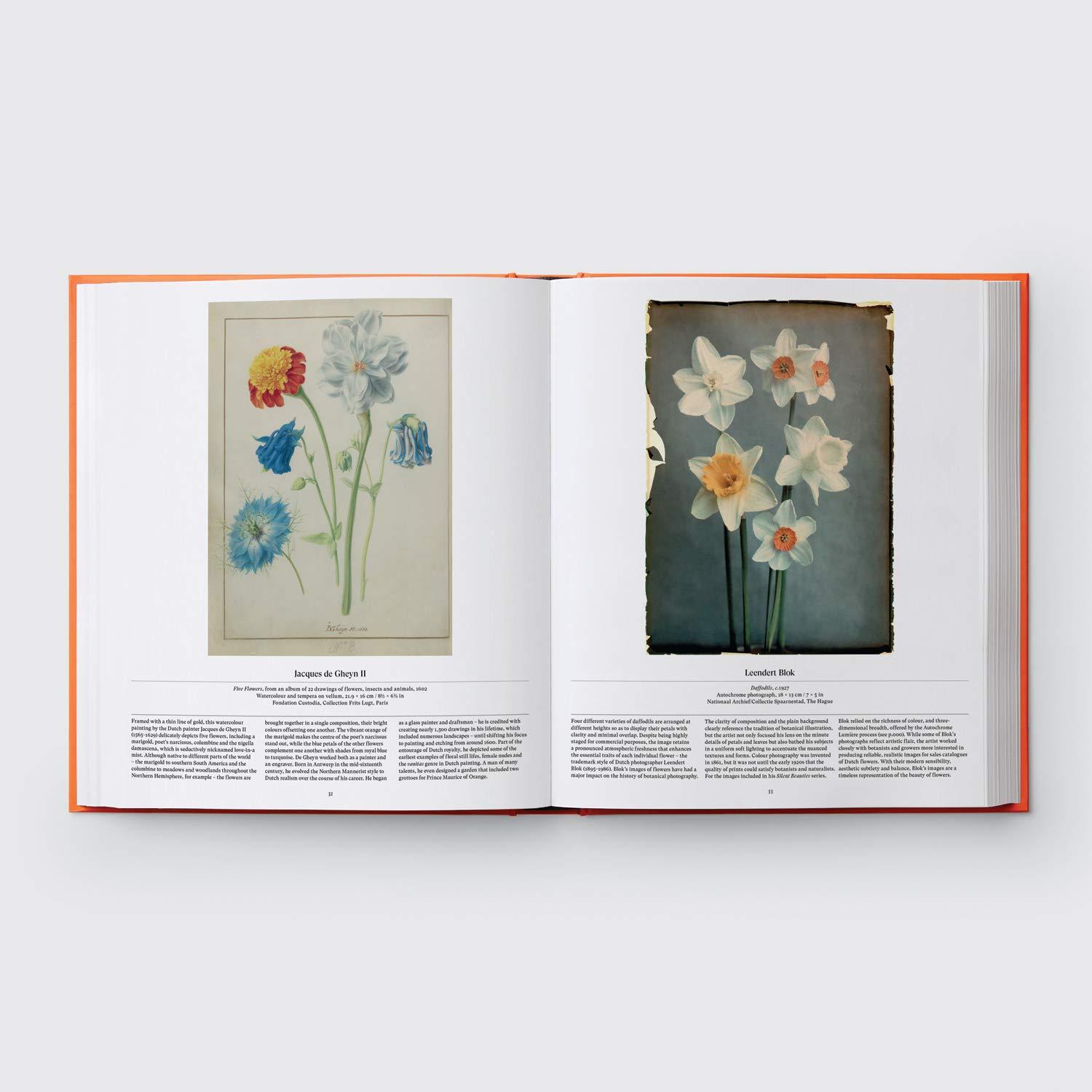 Beispielinhalt (Bild) Flower: Exploring the World in Bloom